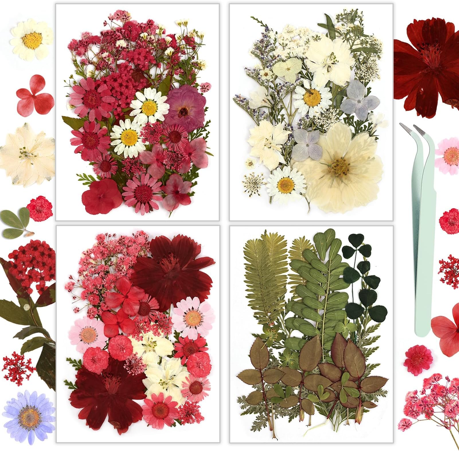 Kit De 36 Fleurs Séchées Pressées Naturelles - Pour DIY, Scrapbooking, Résine, Décoration D'albums - Fleurs Multicolores