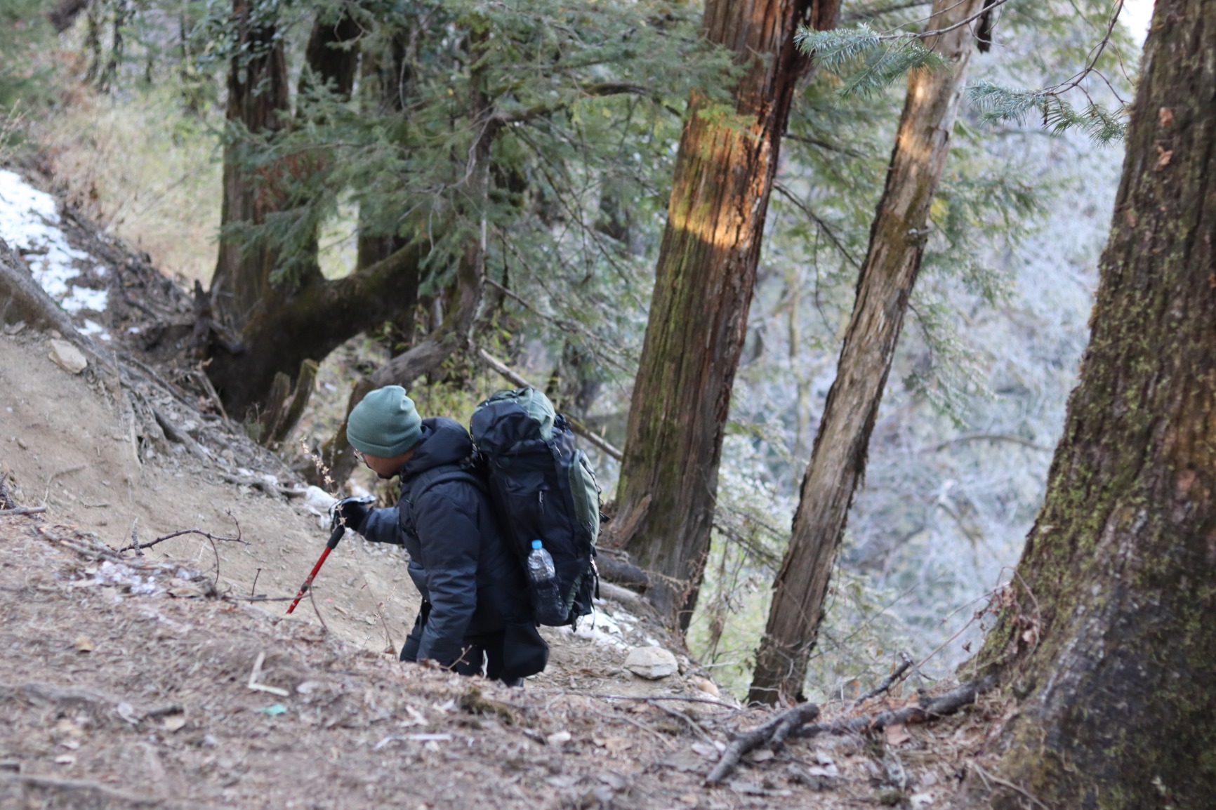 amazon basics Internal Frame (Hardback) Hiking Backpack with Raincover