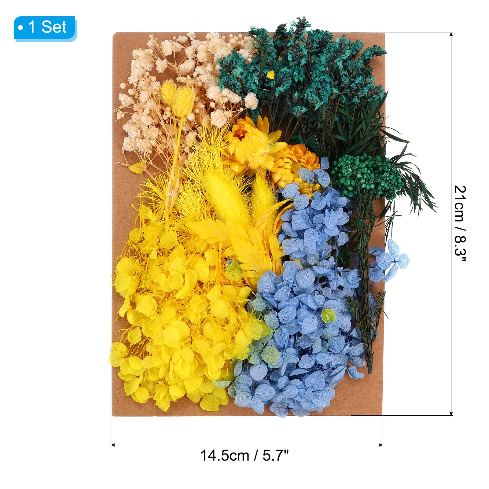 PATIKIL Dried Flowers for Craft Bulk Natural Pressed Flowers Leaves for Resin Soap Candle Scrapbooking DIY Gift Papermaking, Multicolor - Image 2