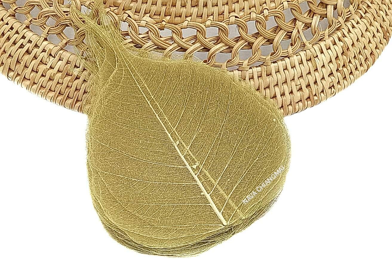 NAVA CHIANGMAI Skeleton Natural Ficus Religiosa Leaves Artificial Leaves Craft Card Scrapbooking DIY Embellishment Decoration Art Greeting Cards Wedding Gifts Seasonal Gift (Gold)