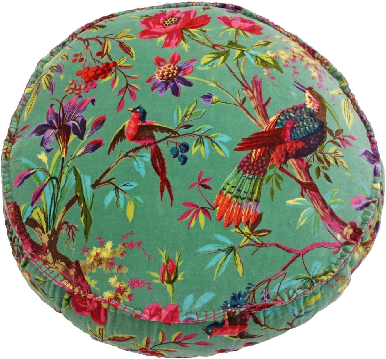 Riva Paoletti Paradise Round Cushion Cover Aqua Blue Colourful Bird Print Velvet Fabric Blanket Stitched Edges 100% Cotton 50 x 50 x 12cm (20" x 20" x 5" inches), 50 x 50cm (20" x 20")