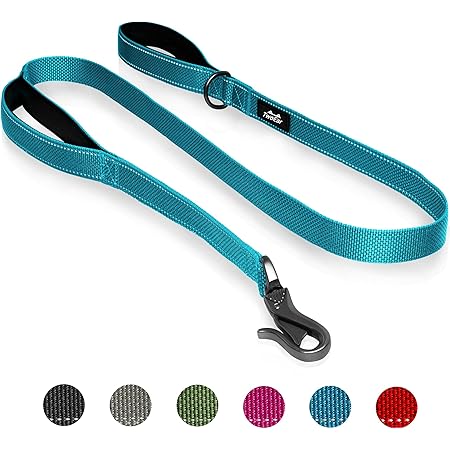 padded handle dog lead