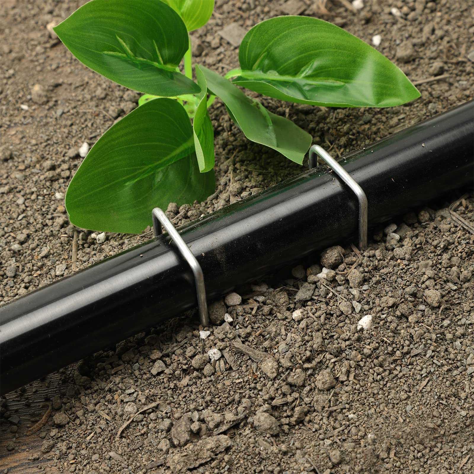 HongWay Garden Stake