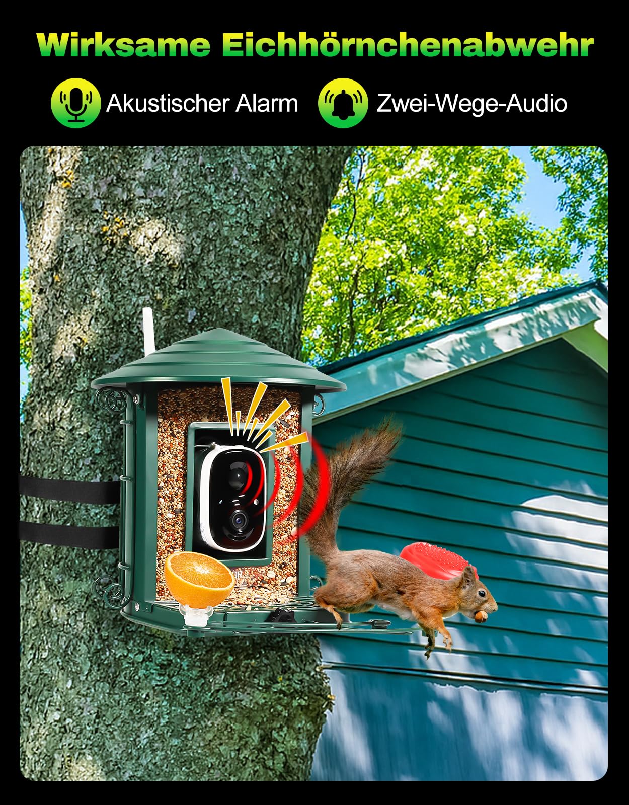 4UMOR Vogelfutterhaus mit Kamera, KI-Vogelerkennung Live-Beobachtung Automatische Aufnahme Solarbetrieb Metall Vogelfutter mit Eichhörnchensicher WLAN & Nachtsicht IP65 Wasserdicht 2K HD Video Smart