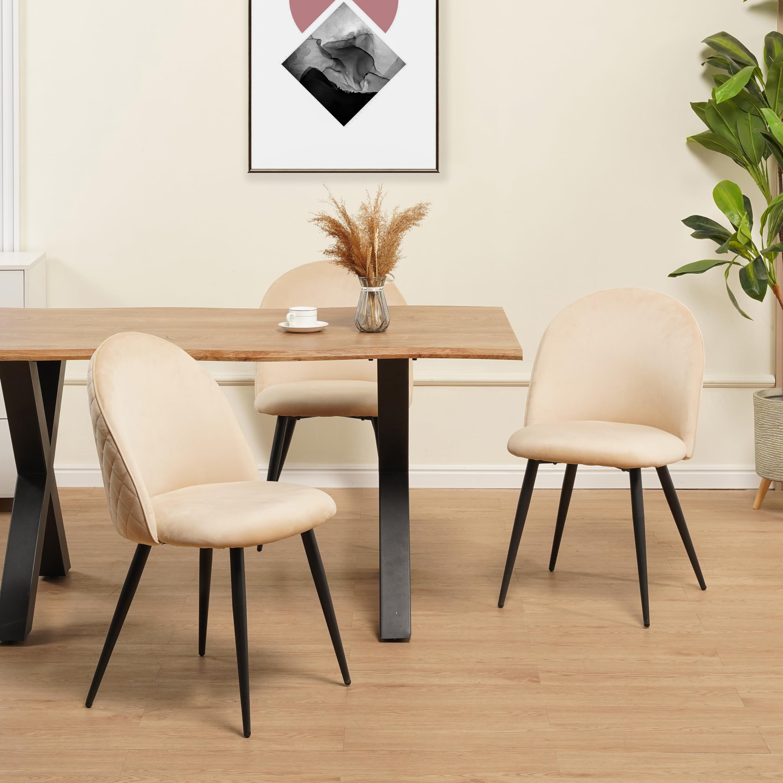 Albatros - Set di 4 sedie da sala da pranzo con rivestimento in velluto, stile vintage, rivestimento in velluto, con imbottitura certificata SGS – moderna sedia da cucina