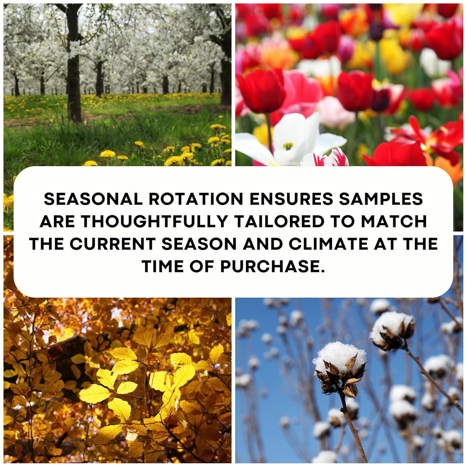 Maison d'Orient Curated 15 Essence of the Moment Arabian Fragrance Sampler – Includes Perfume Testing Booklet (100 Strips), Perfectly Timed for the Current and Upcoming Shoulder Season image 4 of 8 B0DTJTNLPN