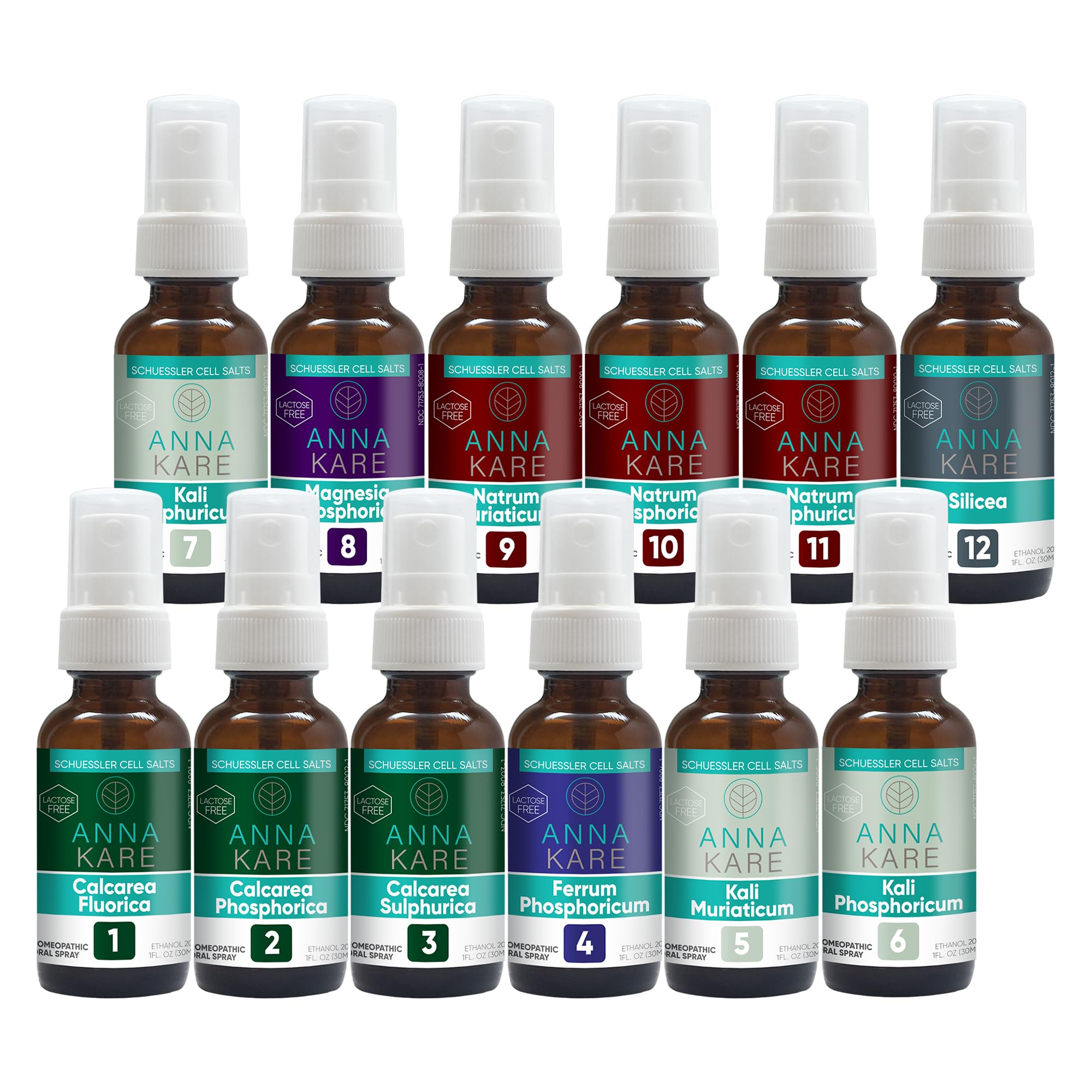 Amazon.com: AnnaKare Complete Cell Salts Kit – All 12