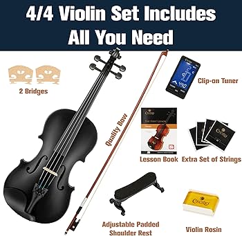 Amazon.com: Mendini By Cecilio Violin 4/4 Full Size For Beginners