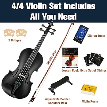 新品!　バイオリン　4/4　メンデルスゾーン　ケースと弓付き 美品 スズキバイオリン大人用 4/4 NO,280 弓ケース付き - メルカリ