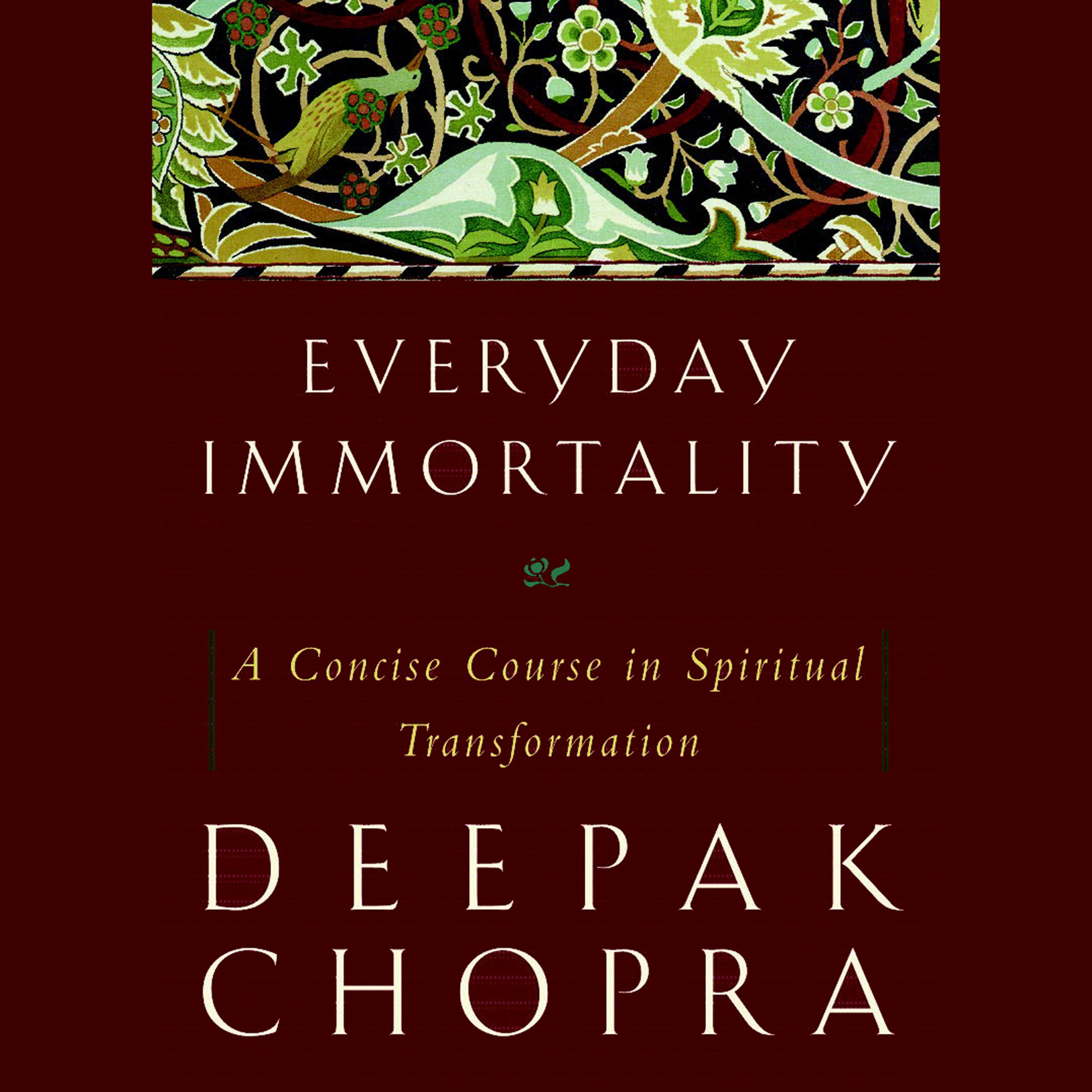 Cover art for Everyday Immortality