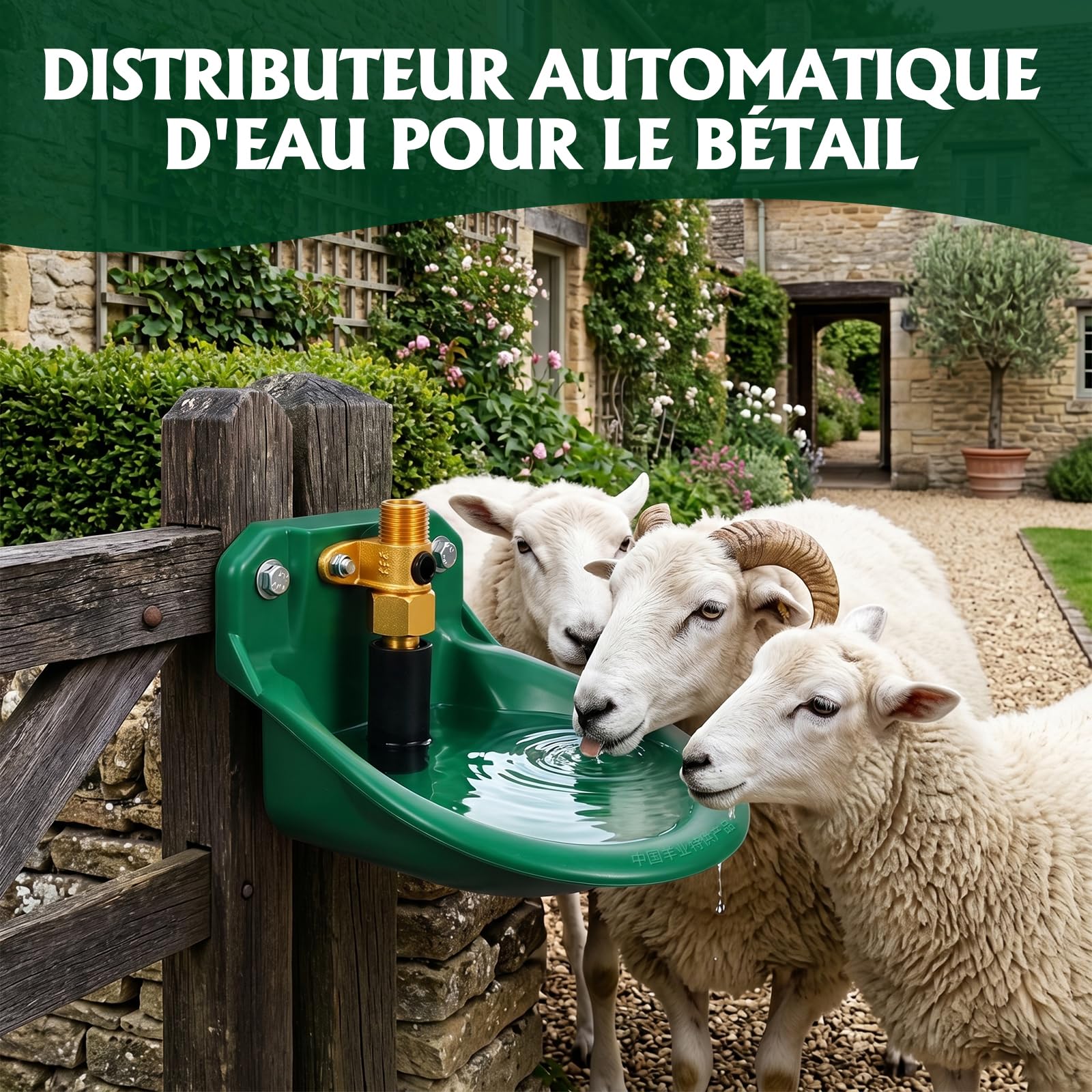 Abreuvoir Automatique pour Moutons, Veaux, Bovins, Cochons, Chiens, Porcelets (Valve d'eau en Cuivre)
