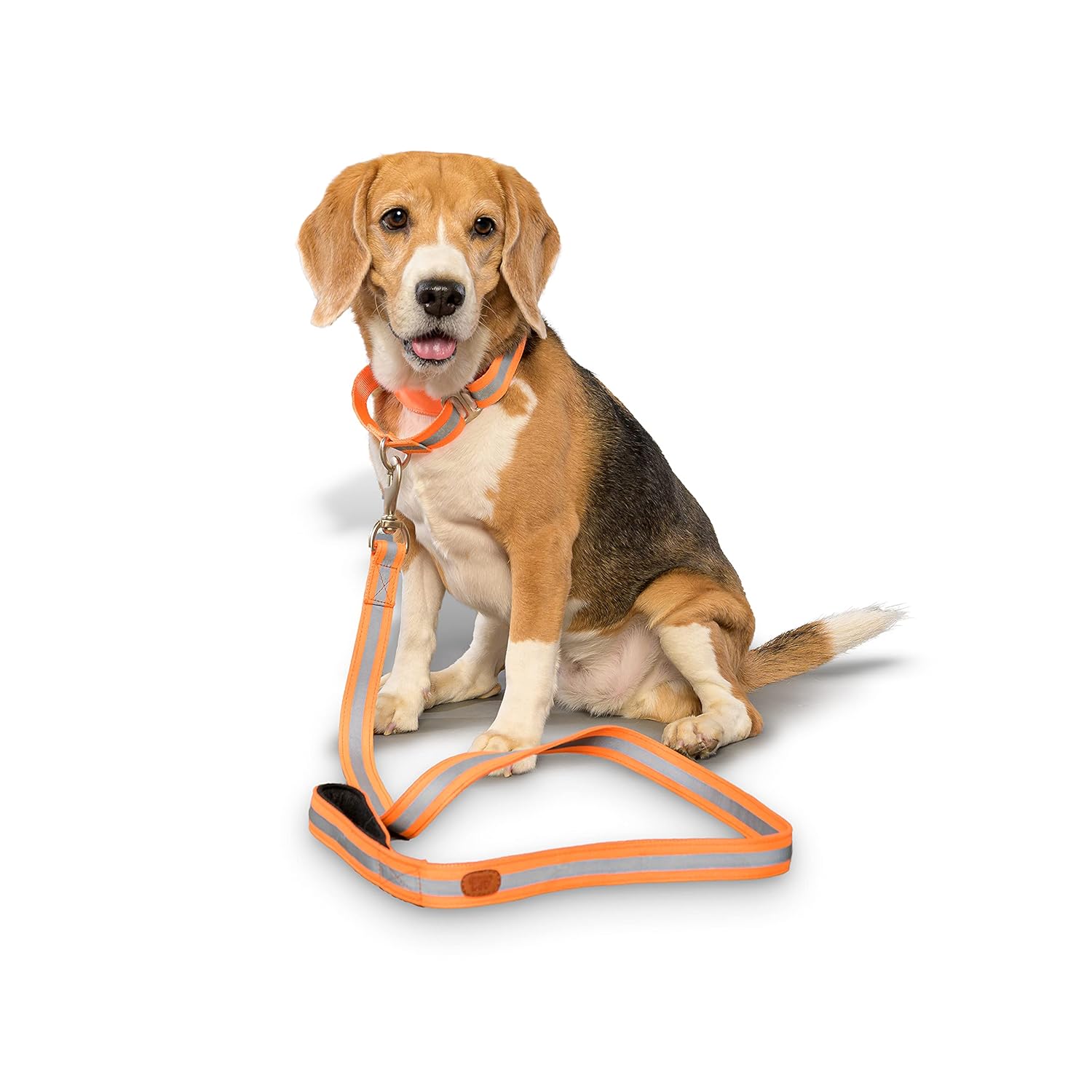 PetWale Reflective Orange Dog Martingale Collar | Comfortable & Secure Fit | No Neck Strains | Durable | Recommended by Trainers | Suited for Small Breeds like Lahsa, Terrier & more | Size S