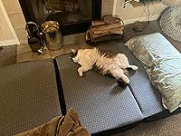 Review Image by Sarah Rothert Sarah Rothert