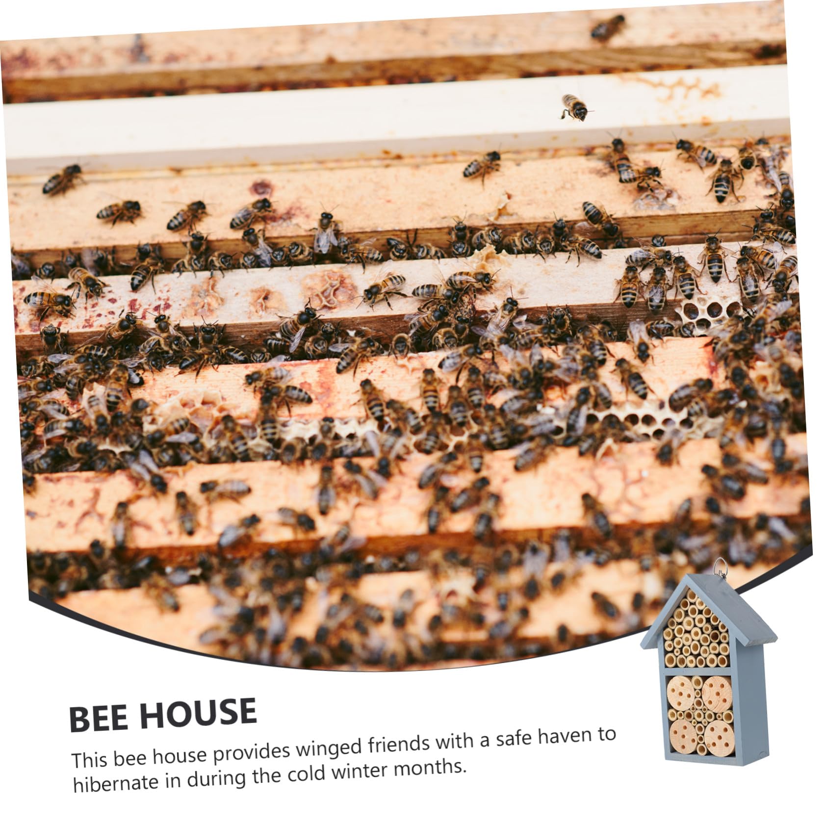 Innestatrice Insetti in Legno Dipinto Blu Rifugio Naturale per Api Solitarie e Insetti Esterni Nido Protetto con Tetto Sicuro per e Orti Appeso