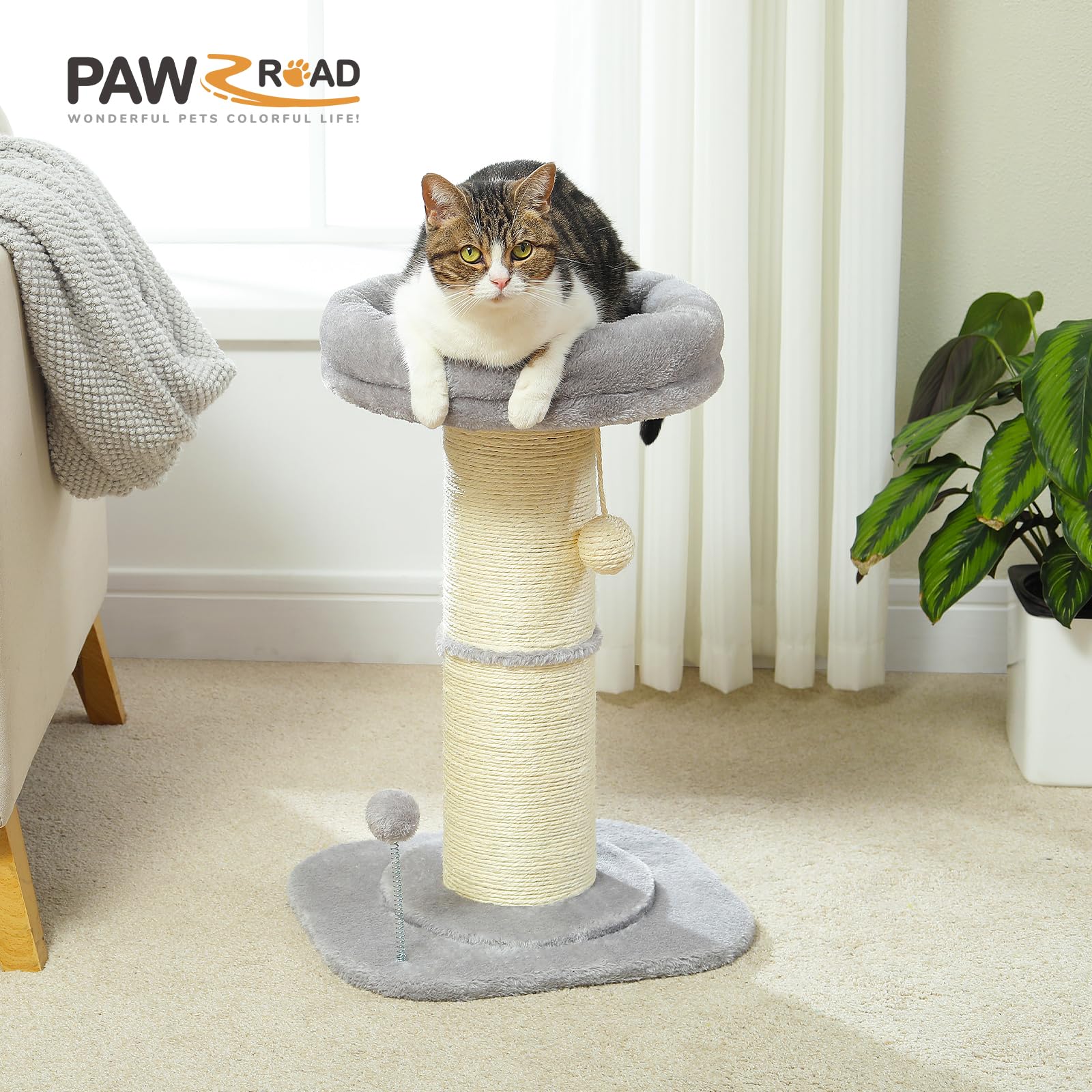 PAWZ Road Kattenkrabpaal, kleine boom, hoge, super-dikke krabpaal voor binnenkatten (diameter van 14cm), afneembaar bloembed, krabpaal met verende speelgoedbal, roze