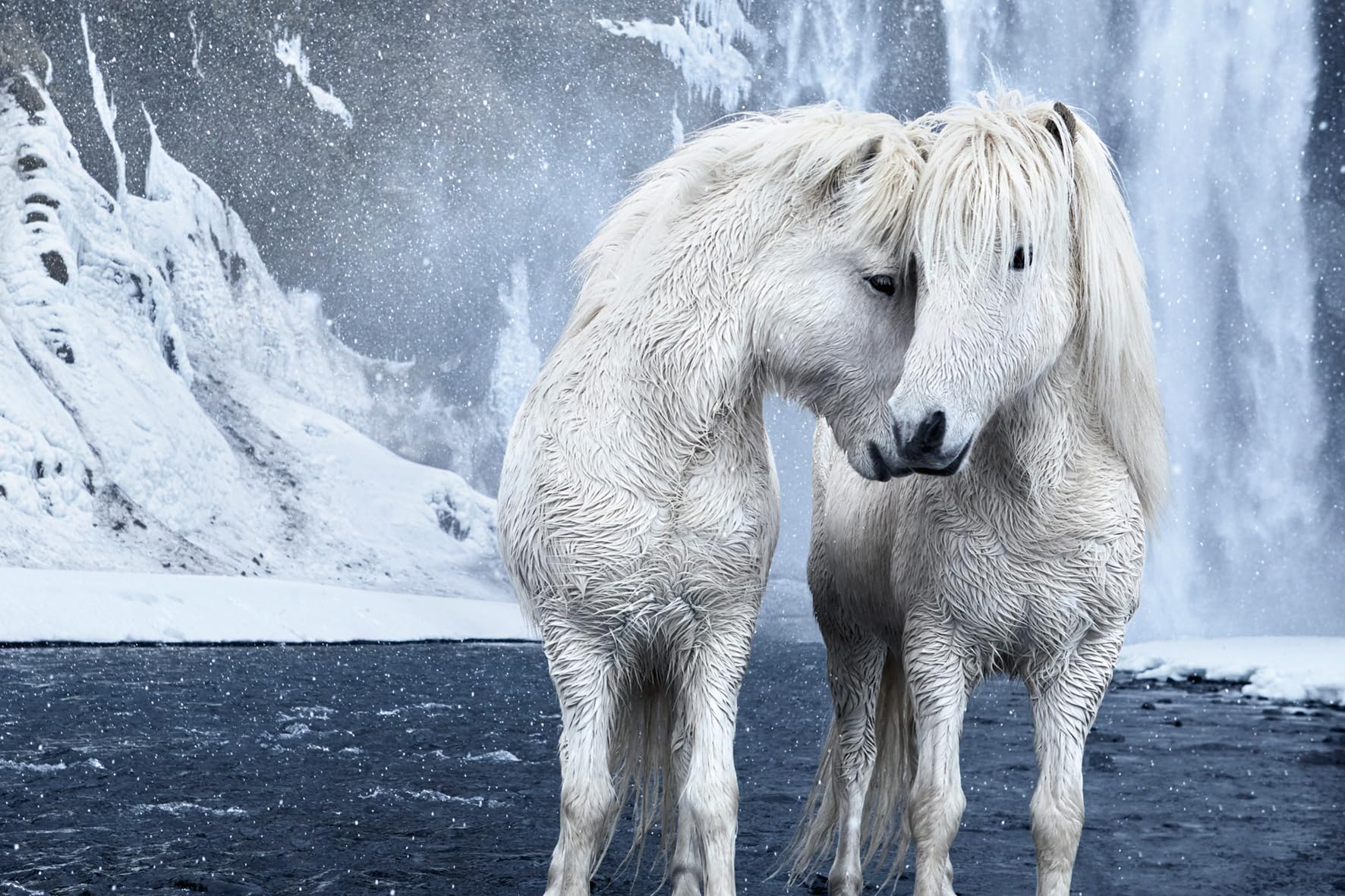 Untamed Spirits: Horses from Around the World /anglais/allemand