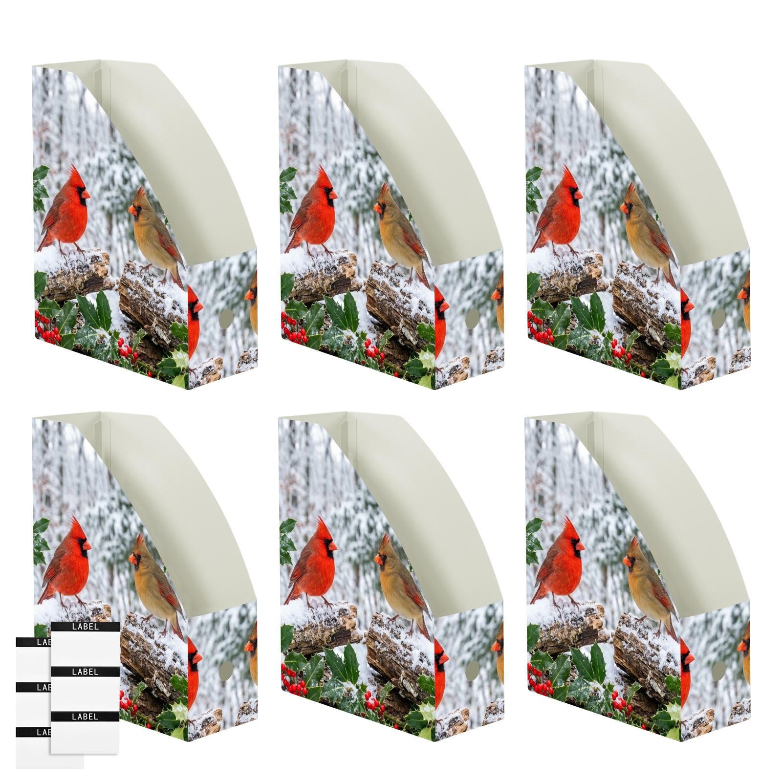 Winter Bird Red Paper Organizer per scrivania