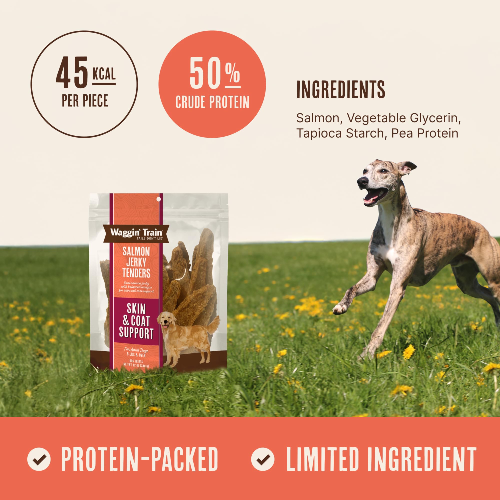 Waggin' Train Salmone Jerky Tenders per il sostegno della pelle e del pelo per cani, 340 ml, senza cereali, ricca di proteine