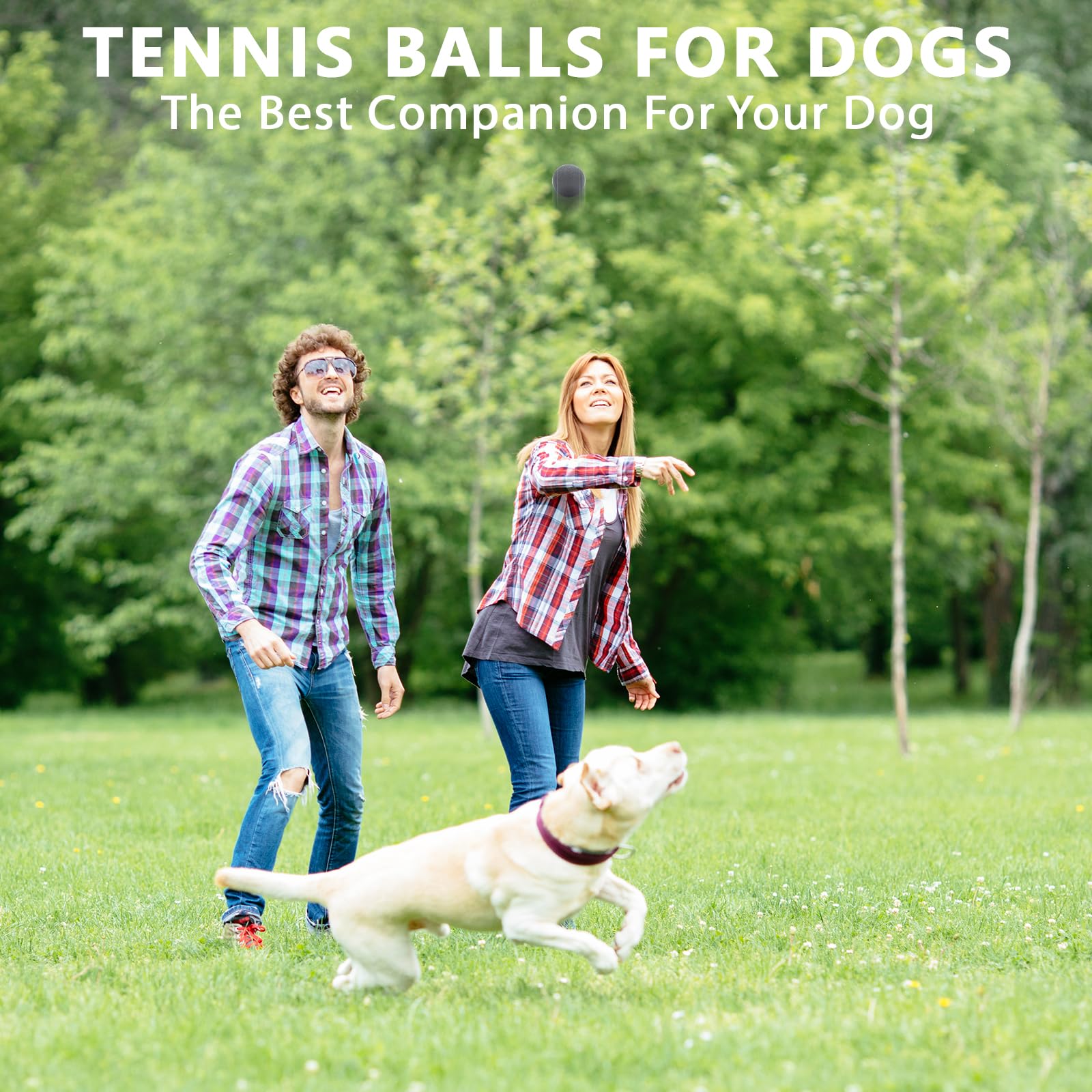 Palline da tennis, confezione da 18 palline da tennis con borsa a rete per un facile trasporto, palline da gioco per cani e animali domestici, adatte per palline da allenamento