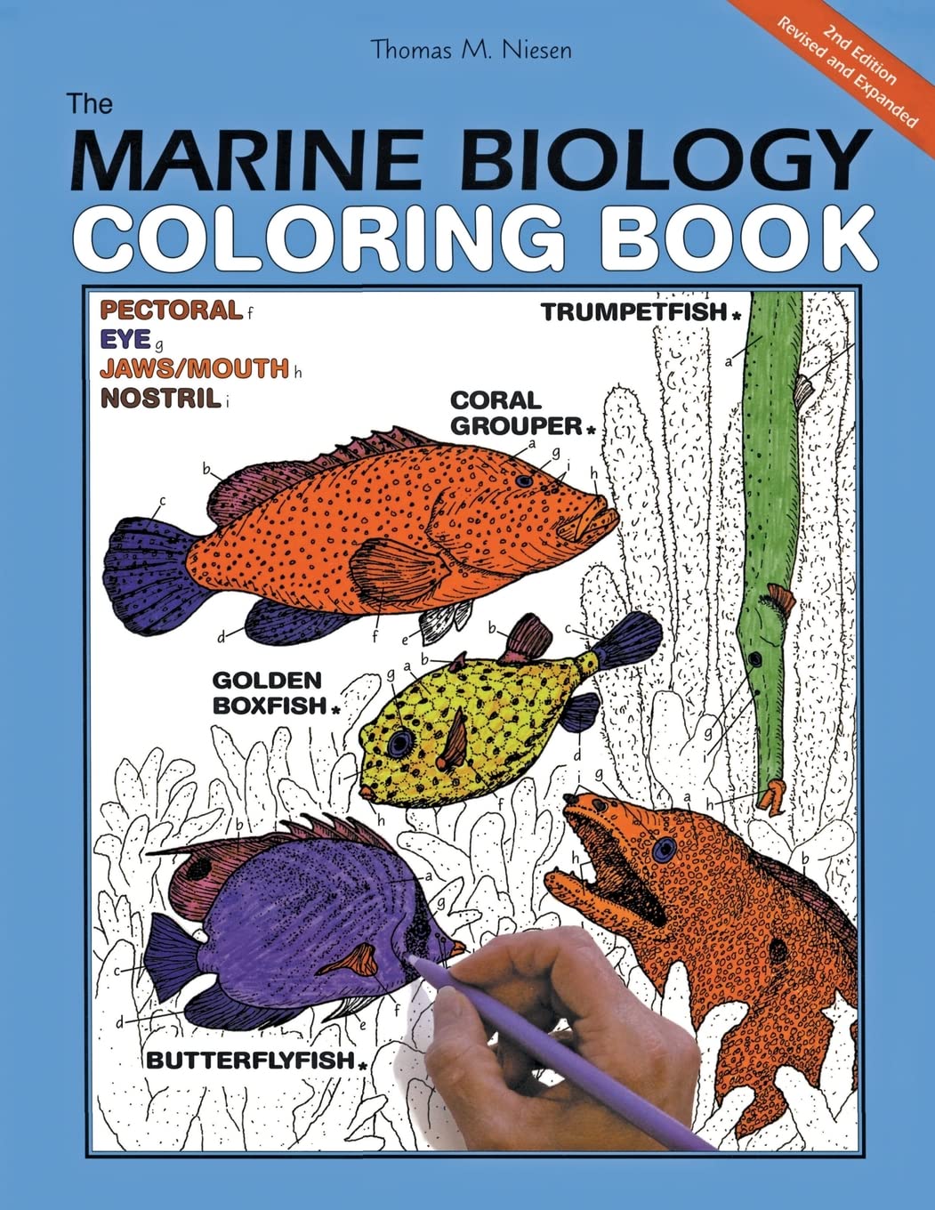 The Marine Biology Coloring Book, Second Edition: A Coloring Book (Coloring Concepts) Paperback – Illustrated, 8 Aug. 2000