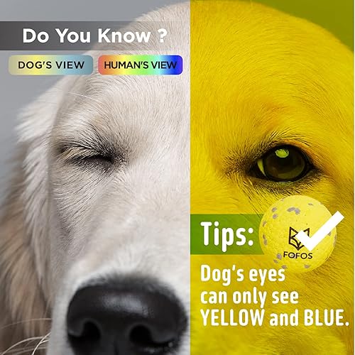 Miniatura 4 de FOFOS Pelotas para perros, juguetes masticables, pelota de tenis para masticadores agresivos, juguetes molares, juguete acuático, bolas