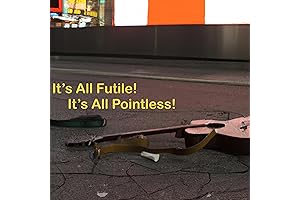 It's All Futile! It's All Pointless!