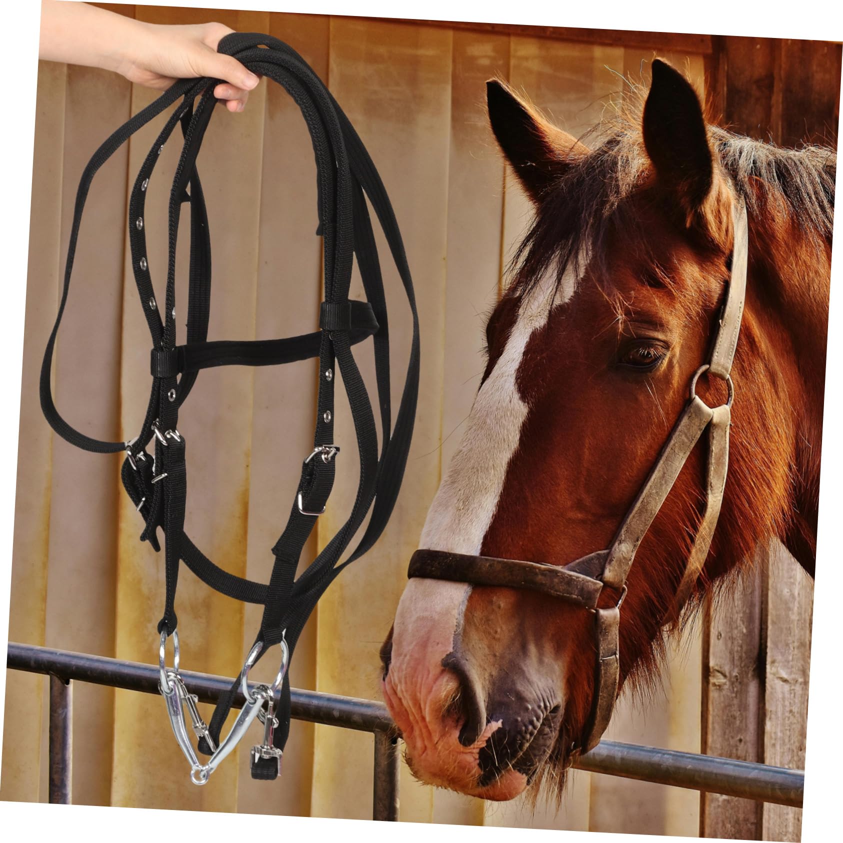 Cavezza Cavallo in Nylon Nero, Comoda, per Cavalli Piccoli | Addestramento e Equitazione, Design No-bite, per Cavallo Giovane, Uso Rider