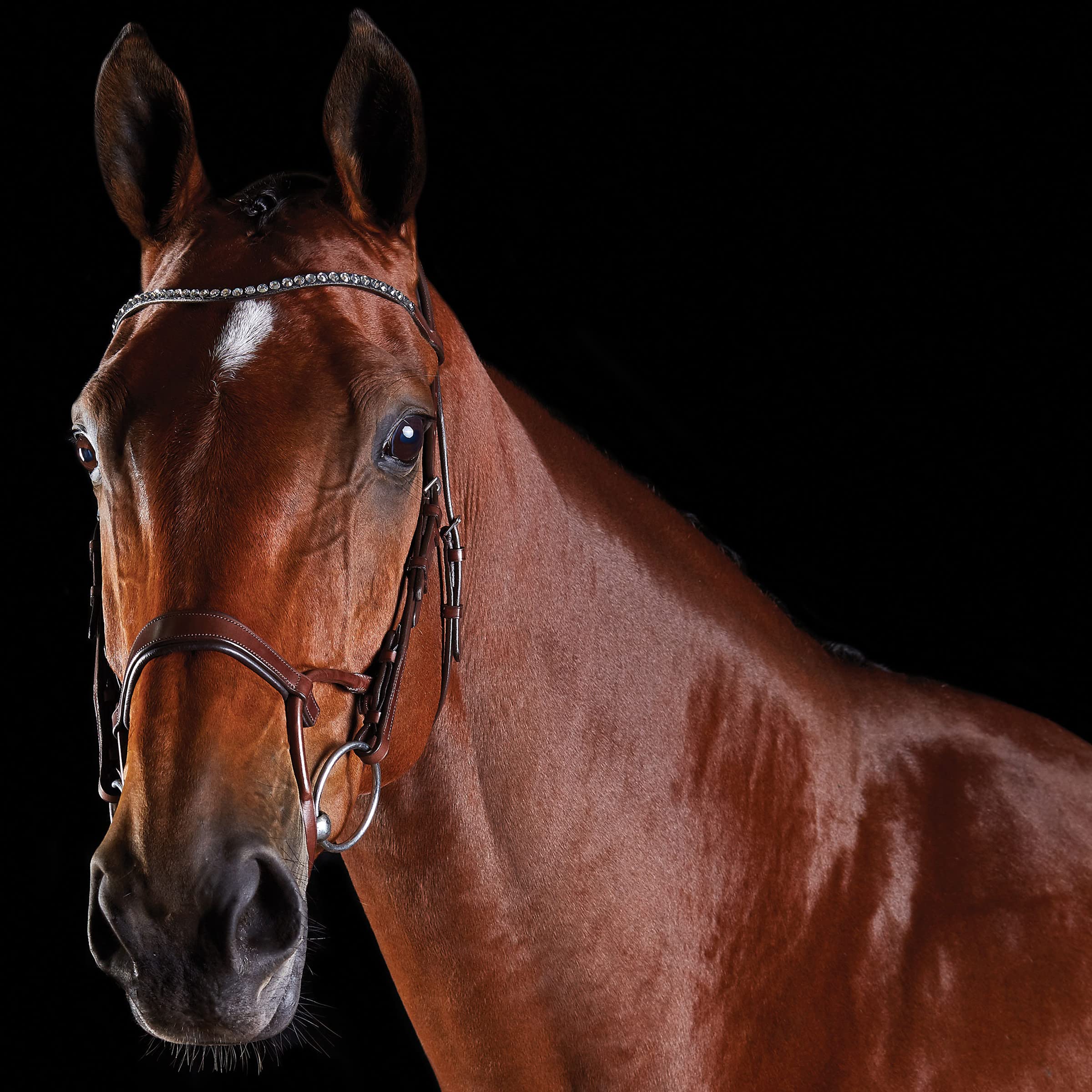 Collegiate ComFiTec Crystal Bridle, Brown, Warmblood — image 1