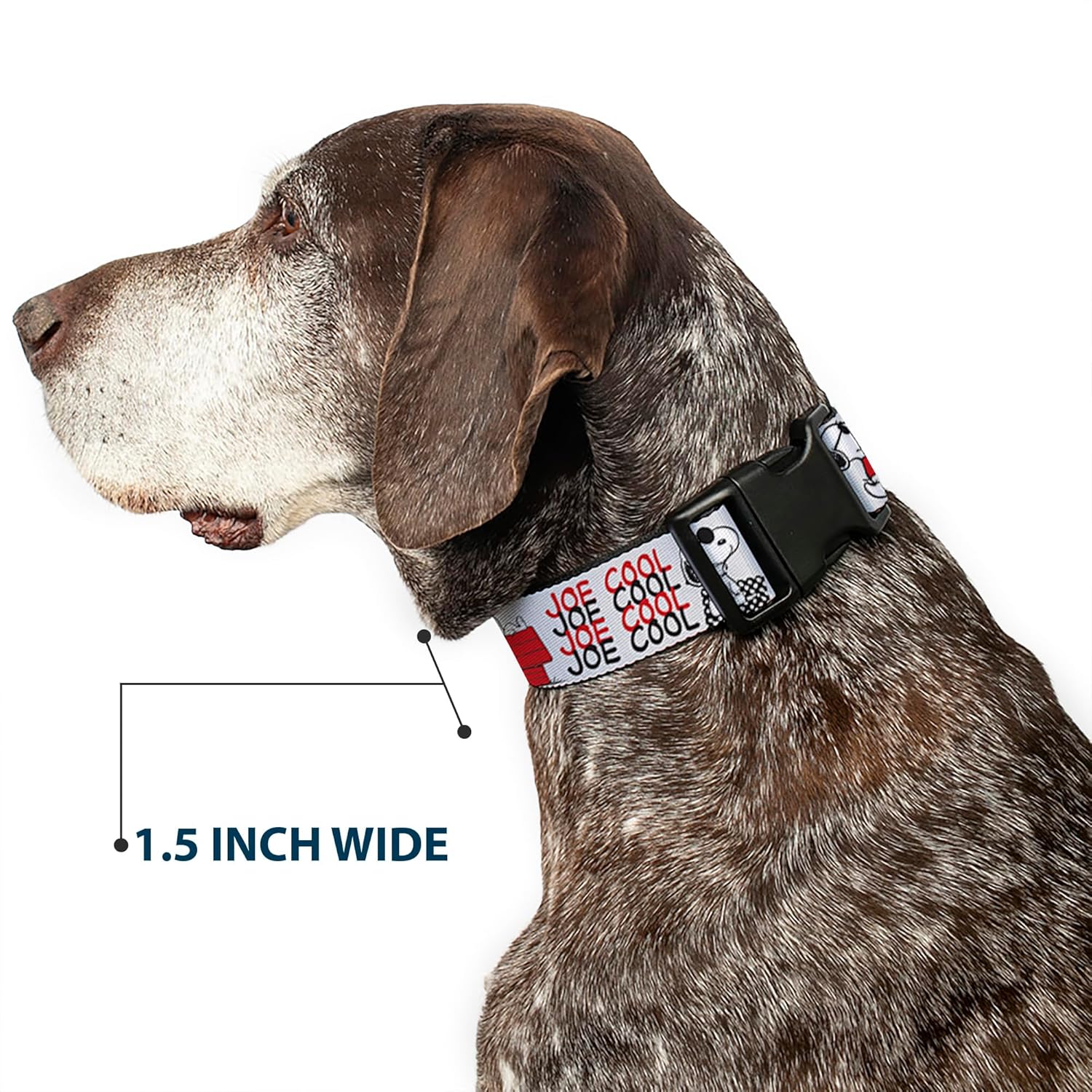 Peanuts Worldwide LLC Pet Collar, Dog Collar Plastic Buckle, Peanuts Joe Cool Snoopy Poses and Text Gray Black Red White, 16 to 23 Inches 1.5 Inch Wide