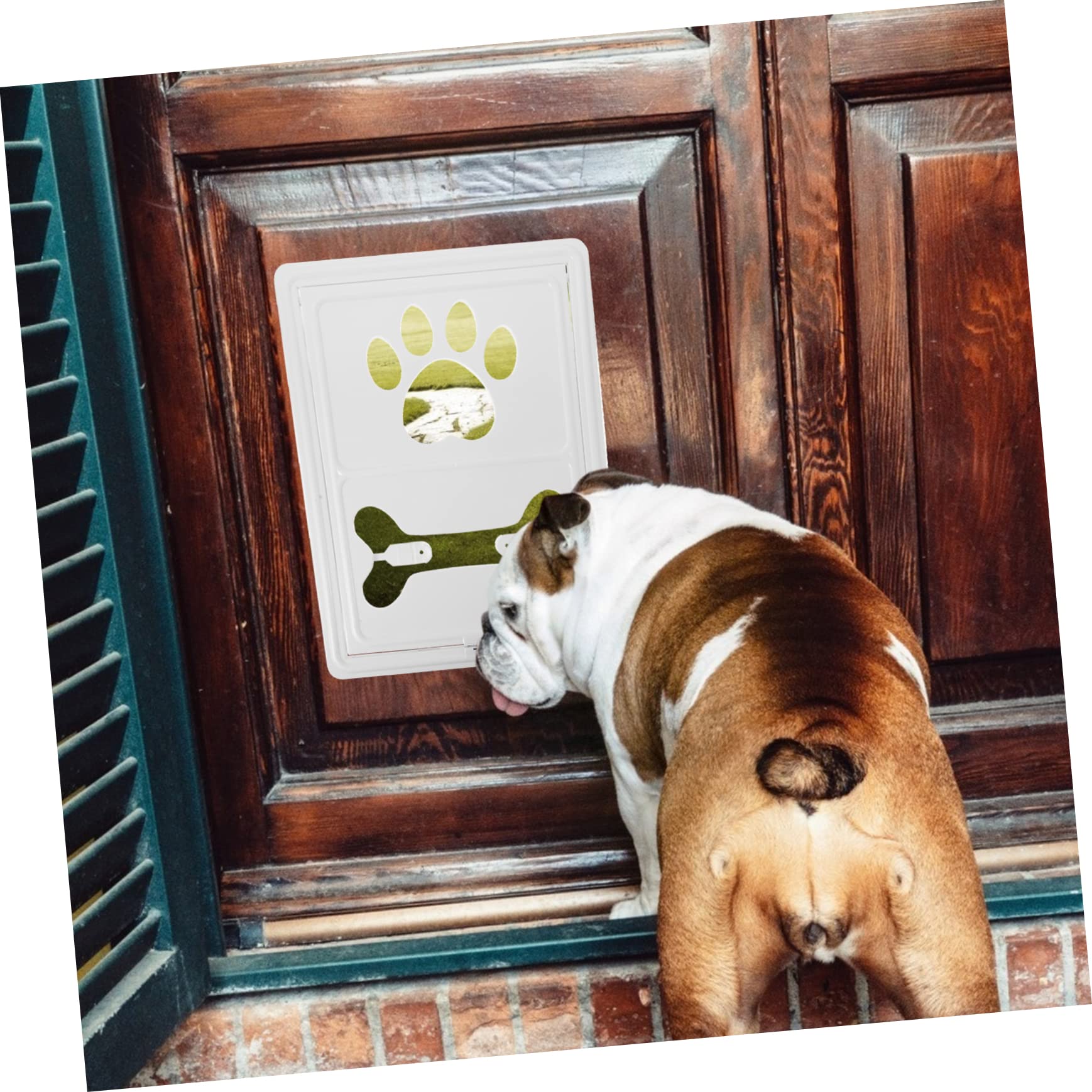 Sosoport Puerta Mosquitera Magnética para Mascotas Colgante para Perros y Gatos Pequeños para Ventanas