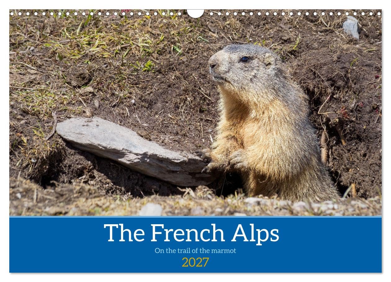 The French Alps, on the trail of the marmot (Wall Calendar 2027 DIN A3 landscape), CALVENDO 12 Month Wall Calendar: The marmot's waking environment