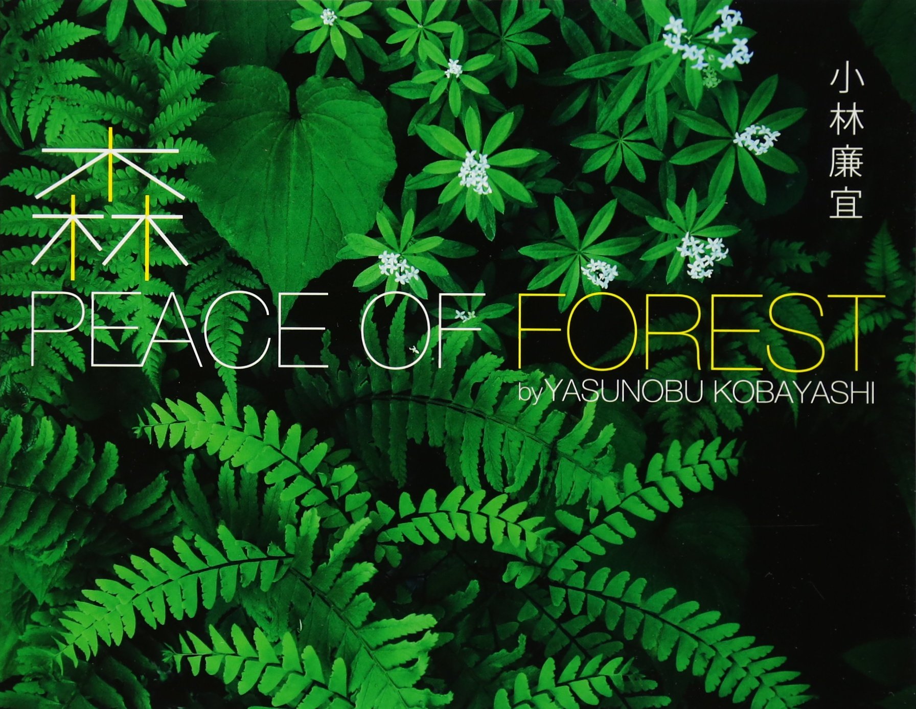 森 PEACE OF FOREST | 小林 廉宜 |本 | 通販 | Amazon