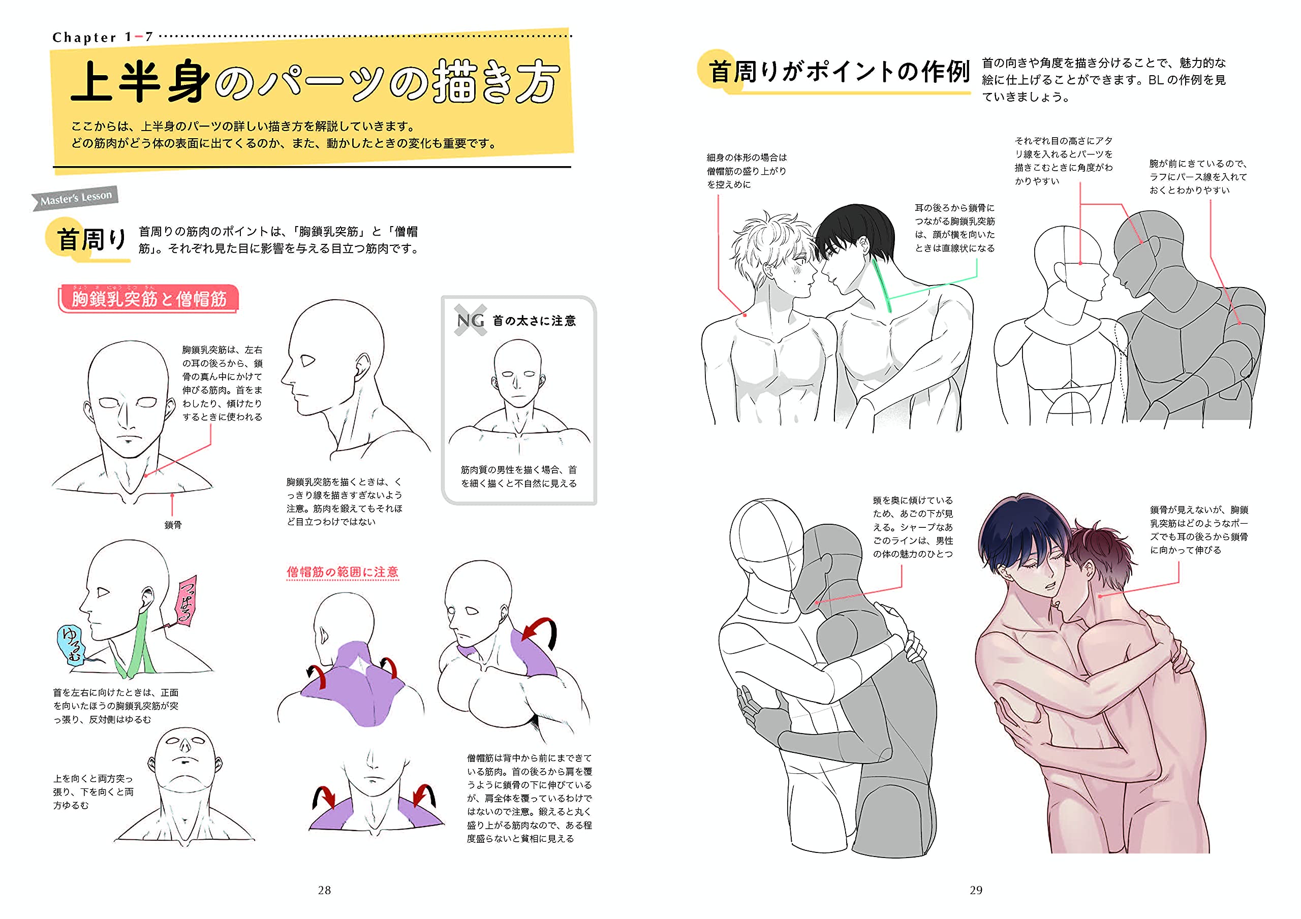 Blデッサン基本とテクニック 筋肉の描き方 関崎 淳 まぶた 単 渦井 末広 マチ 山羊 ヤマ 鬼島 兵伍 秋吉 しま 秋吉 しま まぶた 単 渦井 末広 マチ 山羊 ヤマ 鬼島 兵伍 配送料無料