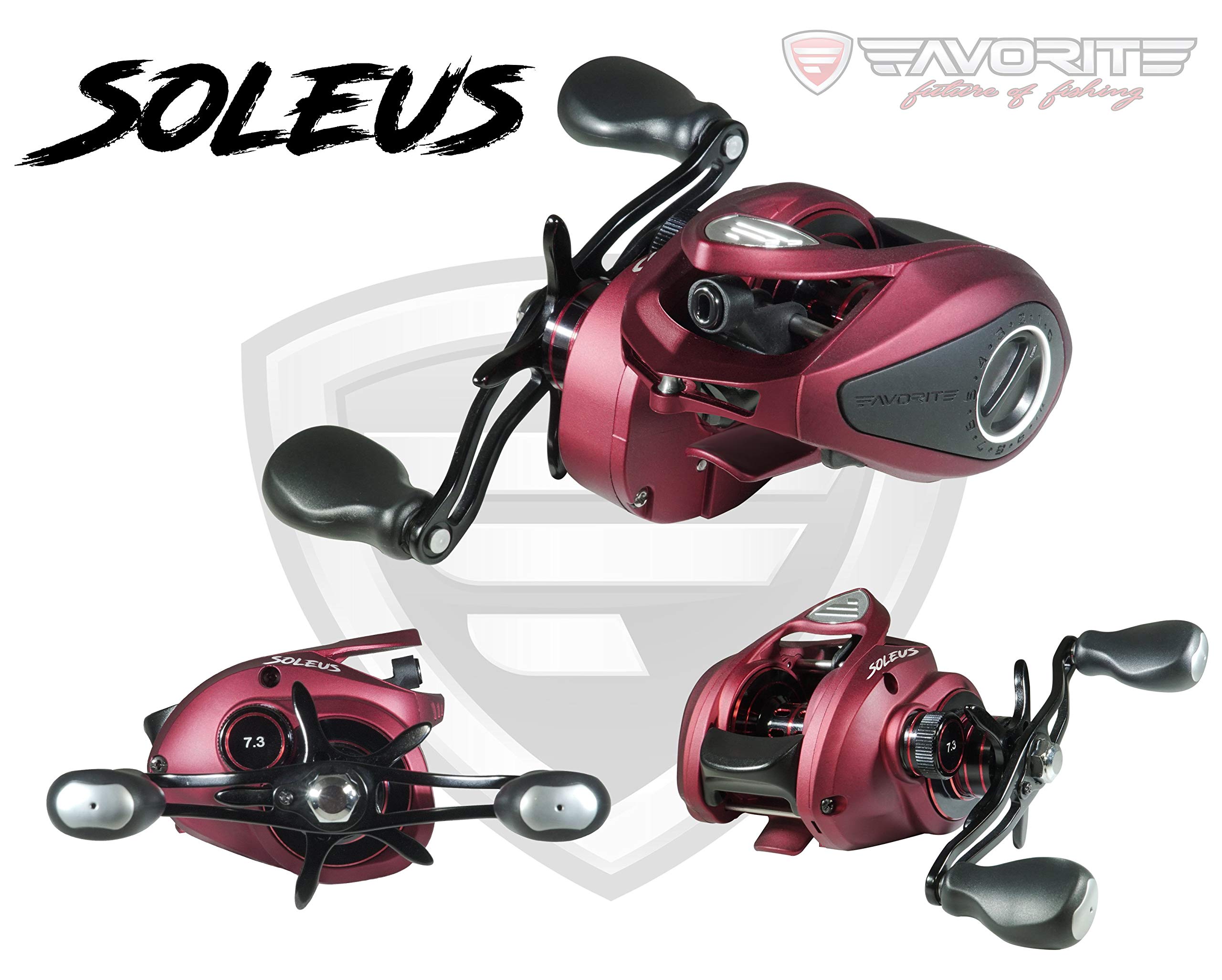Favorite Soleus Casting Reel