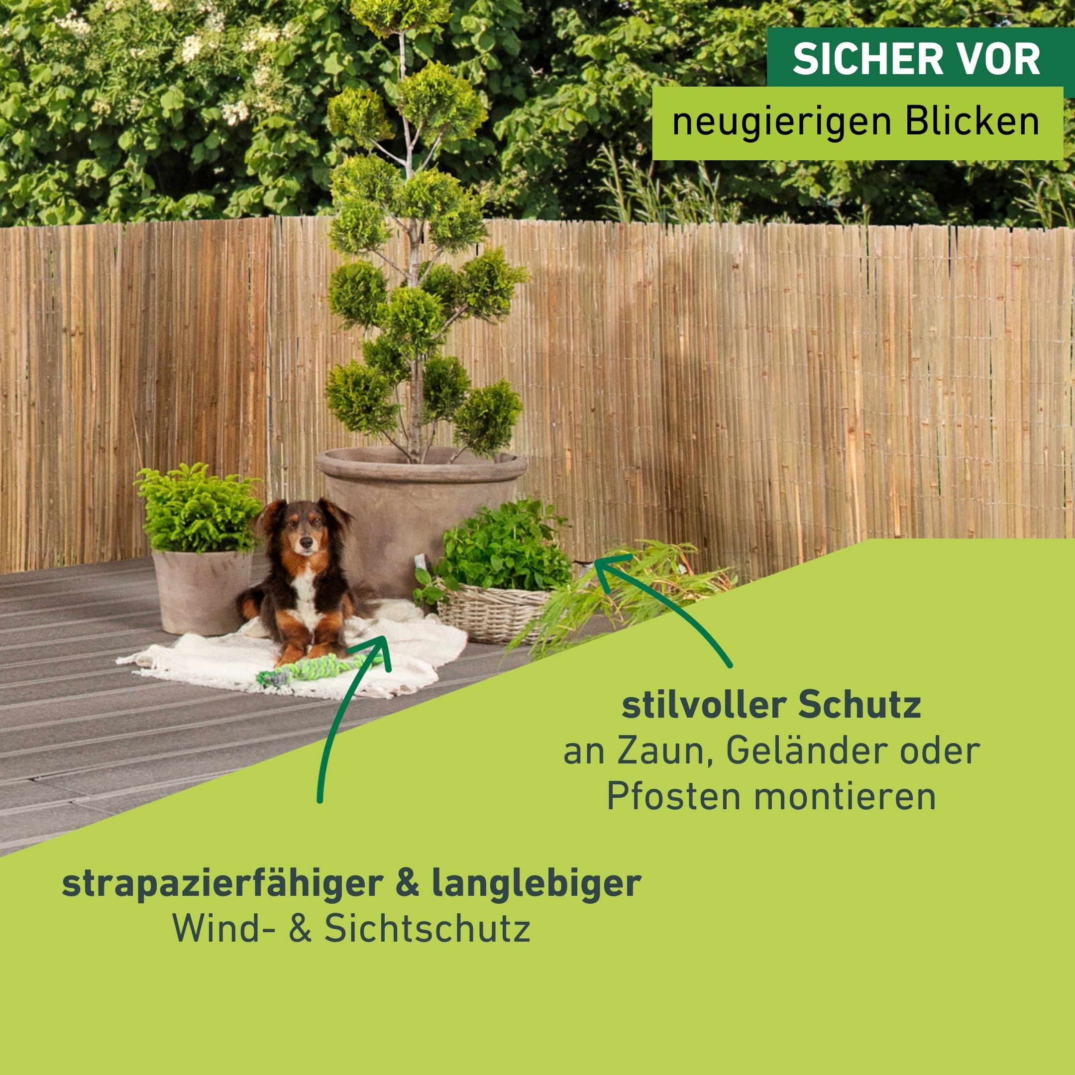 Windhager Sichtschutzmatte Mitake, Zaunmatte aus Bambus, Bambusmatte, Sichtschutz-Zaun aus naturbelassenen Bambus, Blickschutz, 150 x 300 cm, 06685, Natur