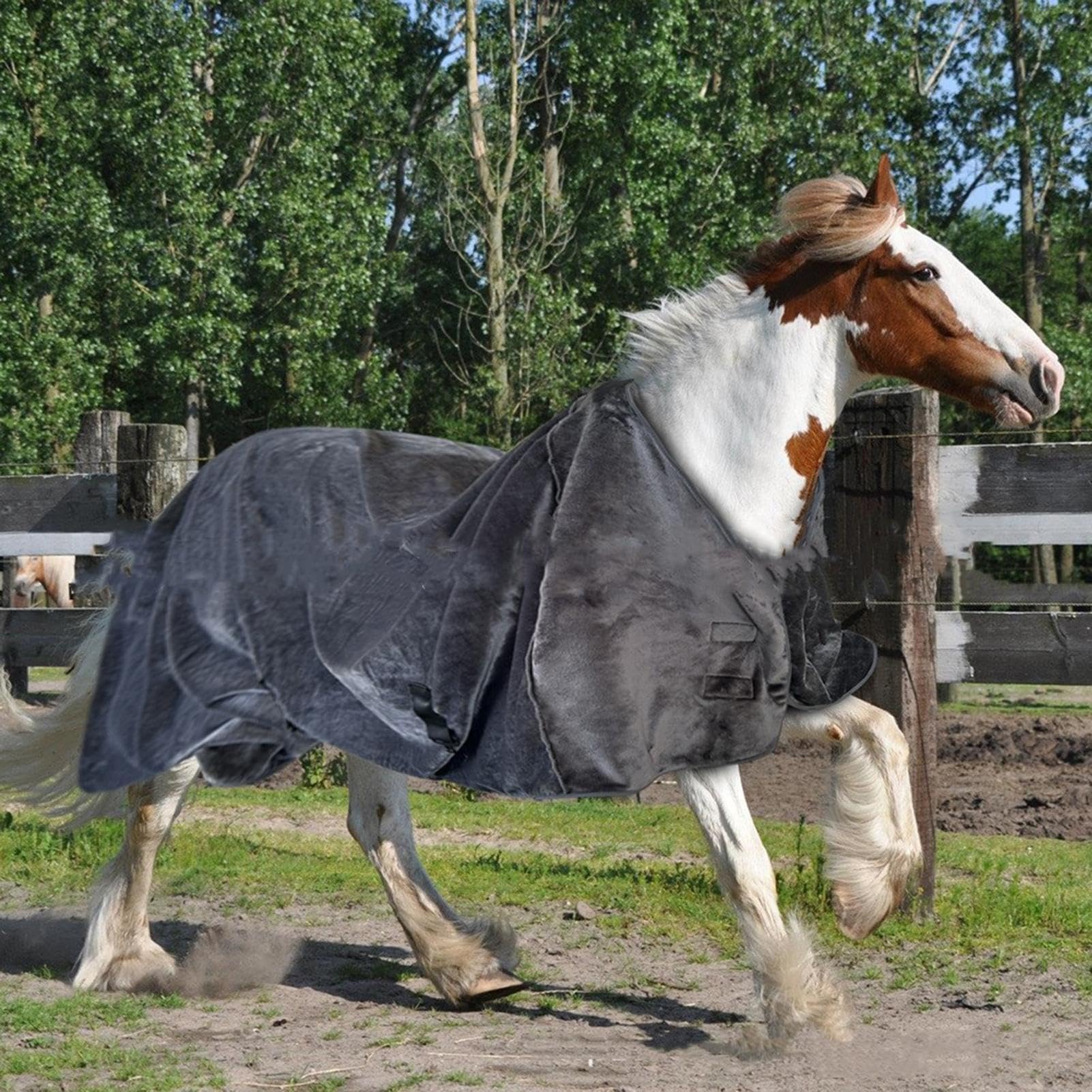 Manta de participación de Caballos, sábana de participación Ajustable | manta cálida de franela transpirable para invierno, manta de caballo impermeable para invierno, sábana de participación de