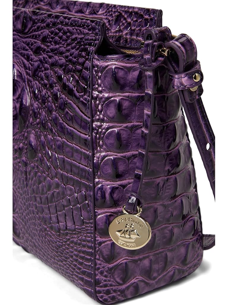 Purple Brahmin Hillary