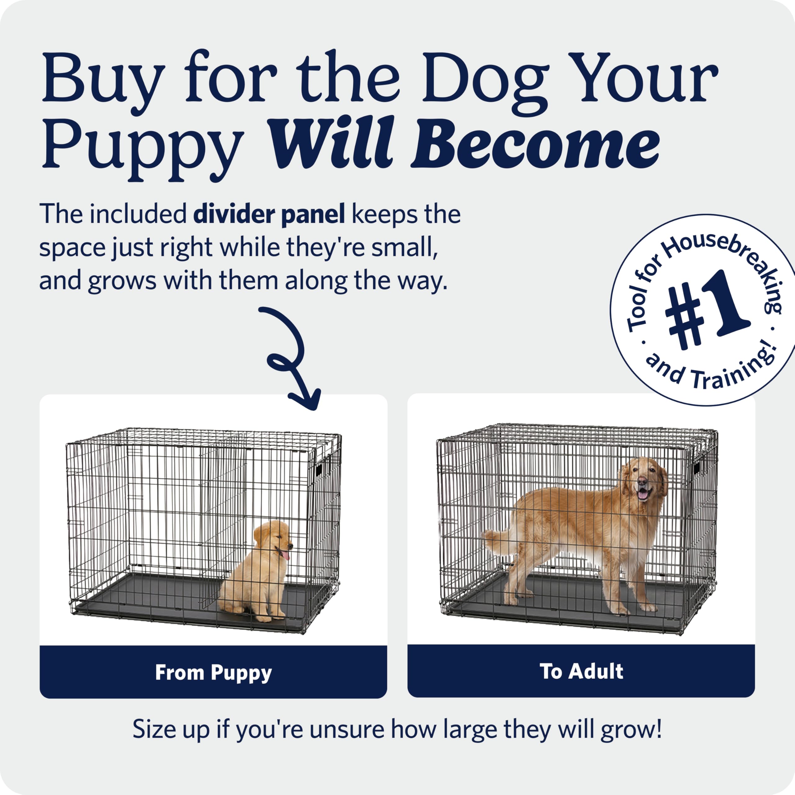 Amazon.com : MidWest Homes for Pets 42-Inch iCrate for Large