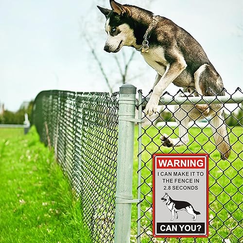 Miniatura 7 de Letrero de advertencia de pastor alemán con texto en inglés Beware of Dogs, I Can Make It to The Fence in 2.8 Sec.  Cartel de advertencia de pastor