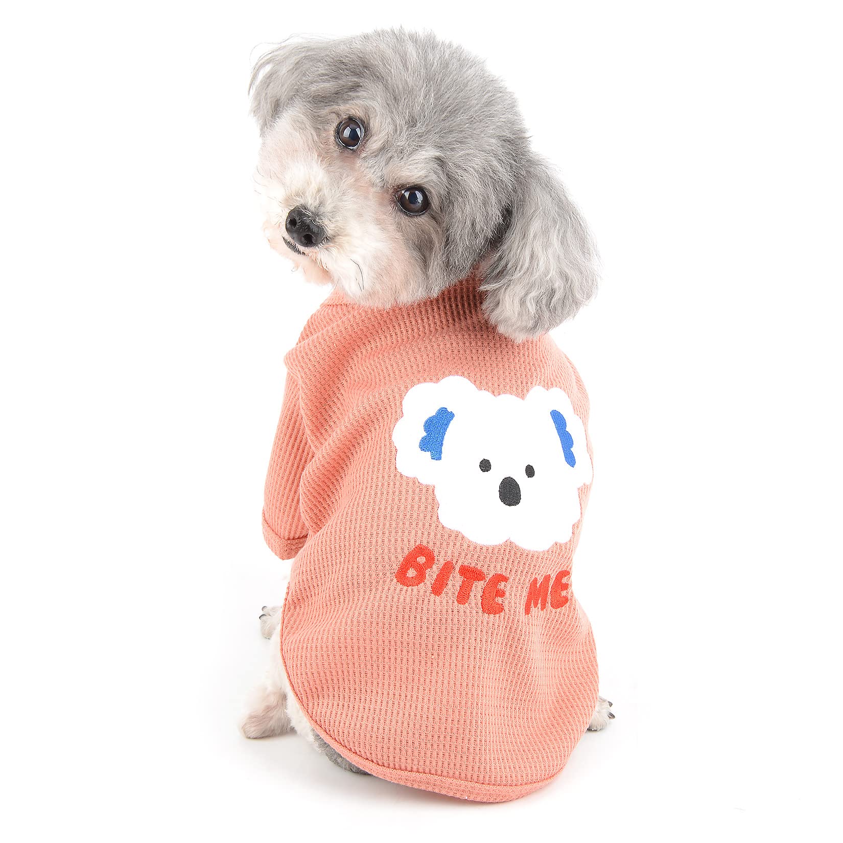 View 2
