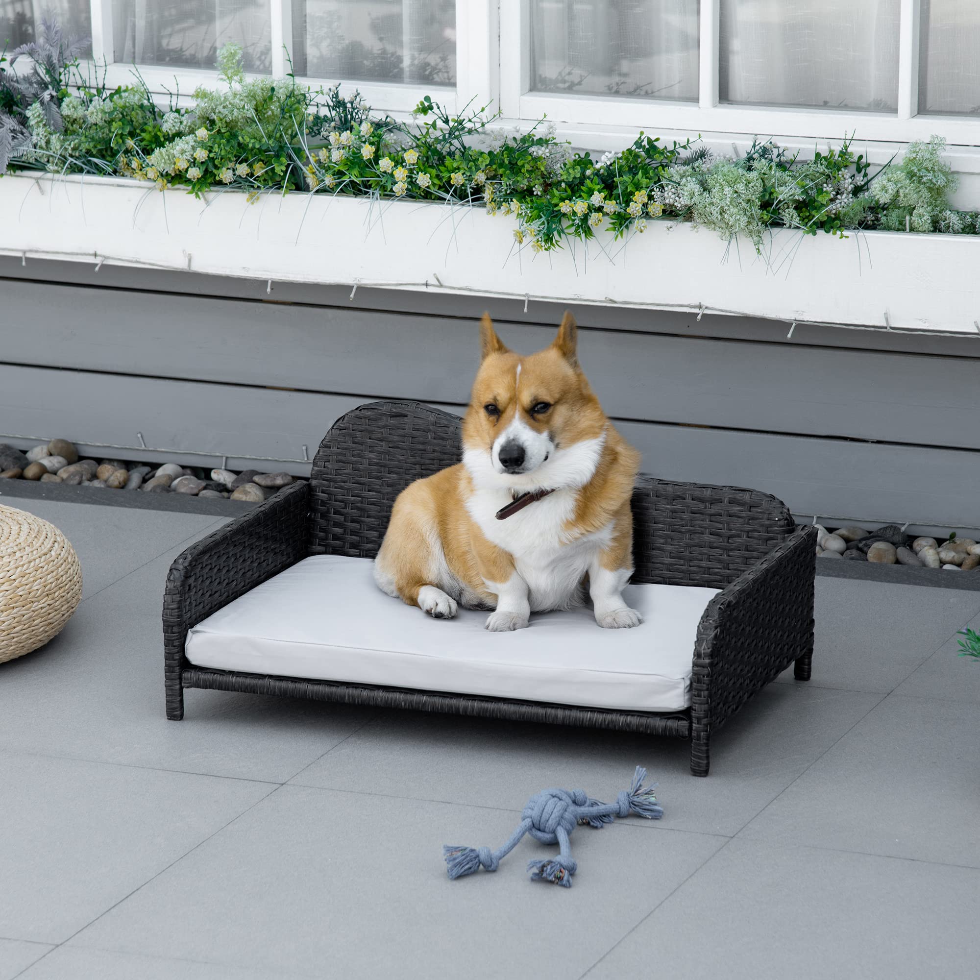 PawHut Canapé Panier pour Chiens et Chats, en résine tressée, avec Rembourrage, imperméable et Lavable, terne à l'intérieur et à l'extérieur. 75L x 45l x 35H cm