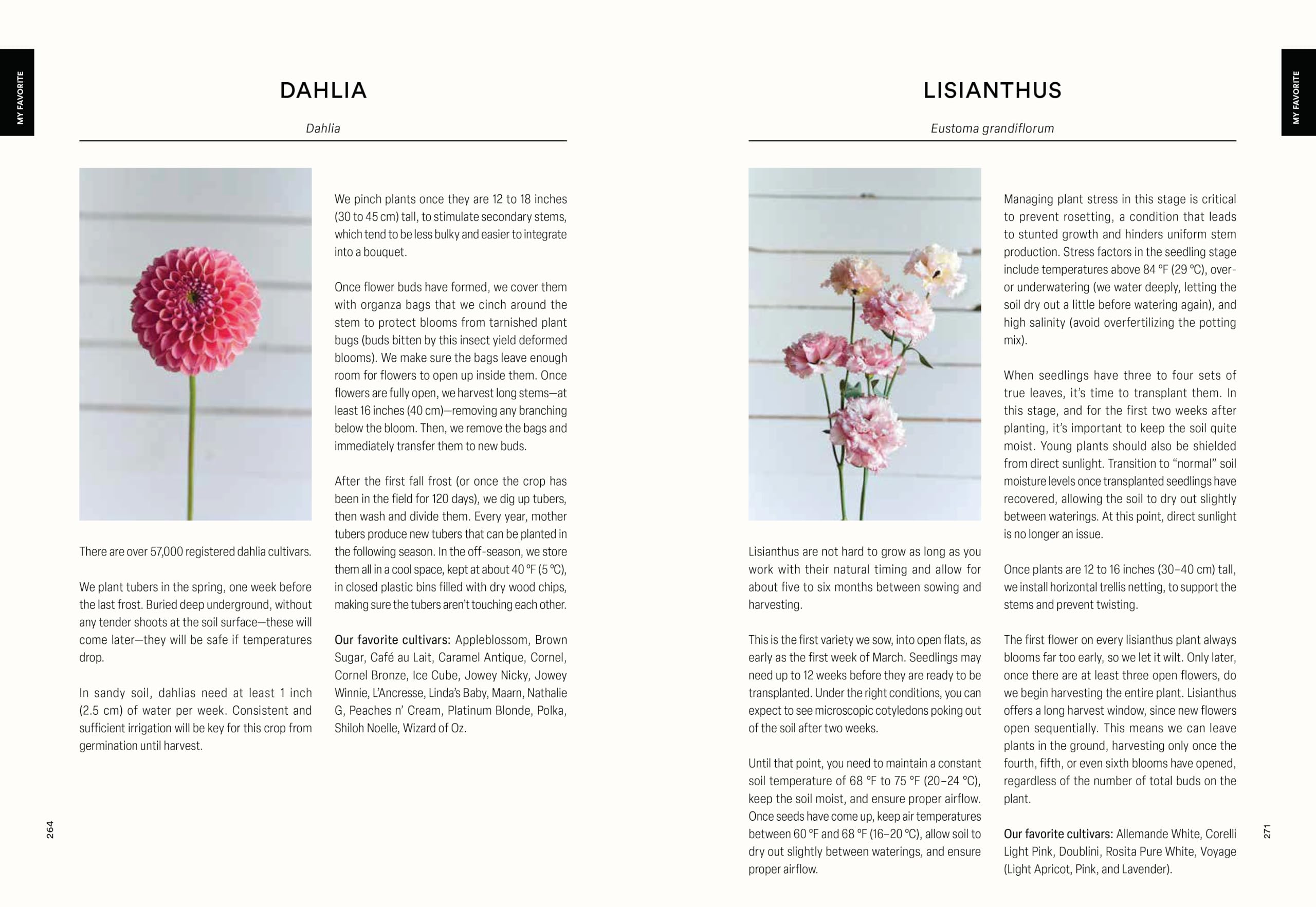 Floramama: From Garden to Bouquet, Growing Flowers for Market