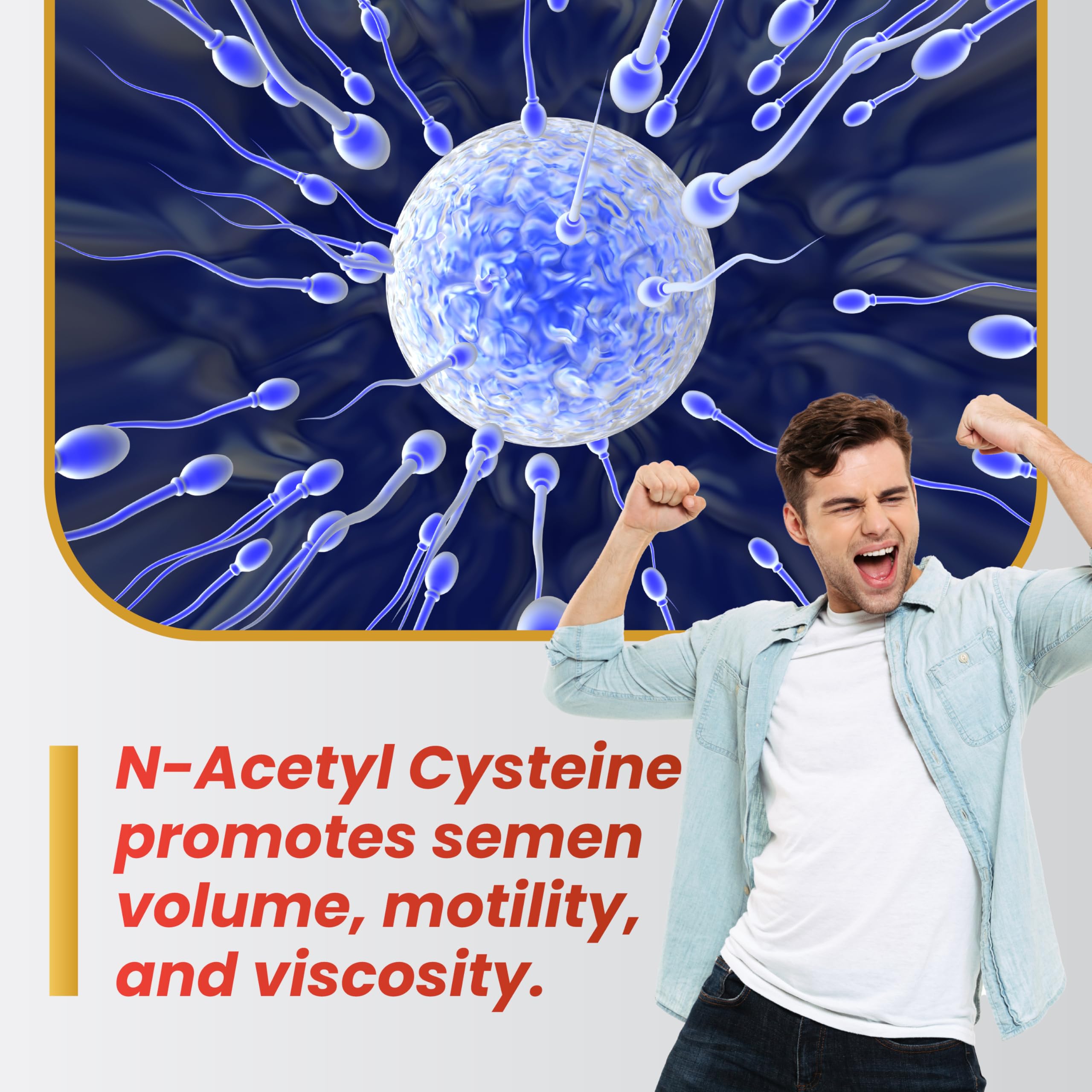 Motility Max – Supports Sperm Motility & Reproductive Health Promotes Healthy Blood Flow, Libido & Testosterone Levels Antioxidant Formula with L-Arginine, L-Carnitine & Essential Nutrients 60 Capsule — Amazon image 8