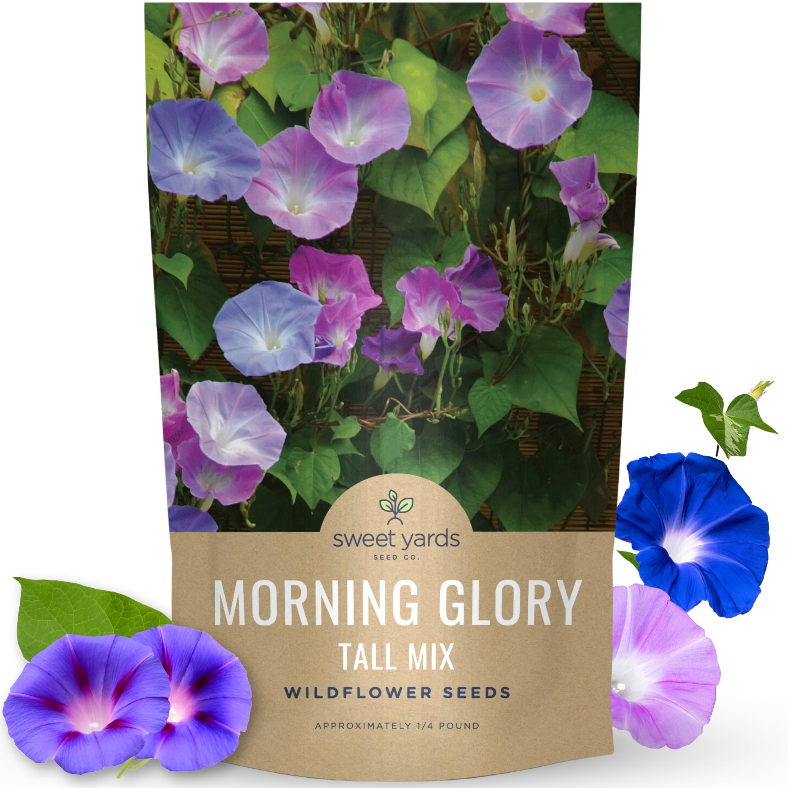 Sweet Yards Morning Glory Tall Mix