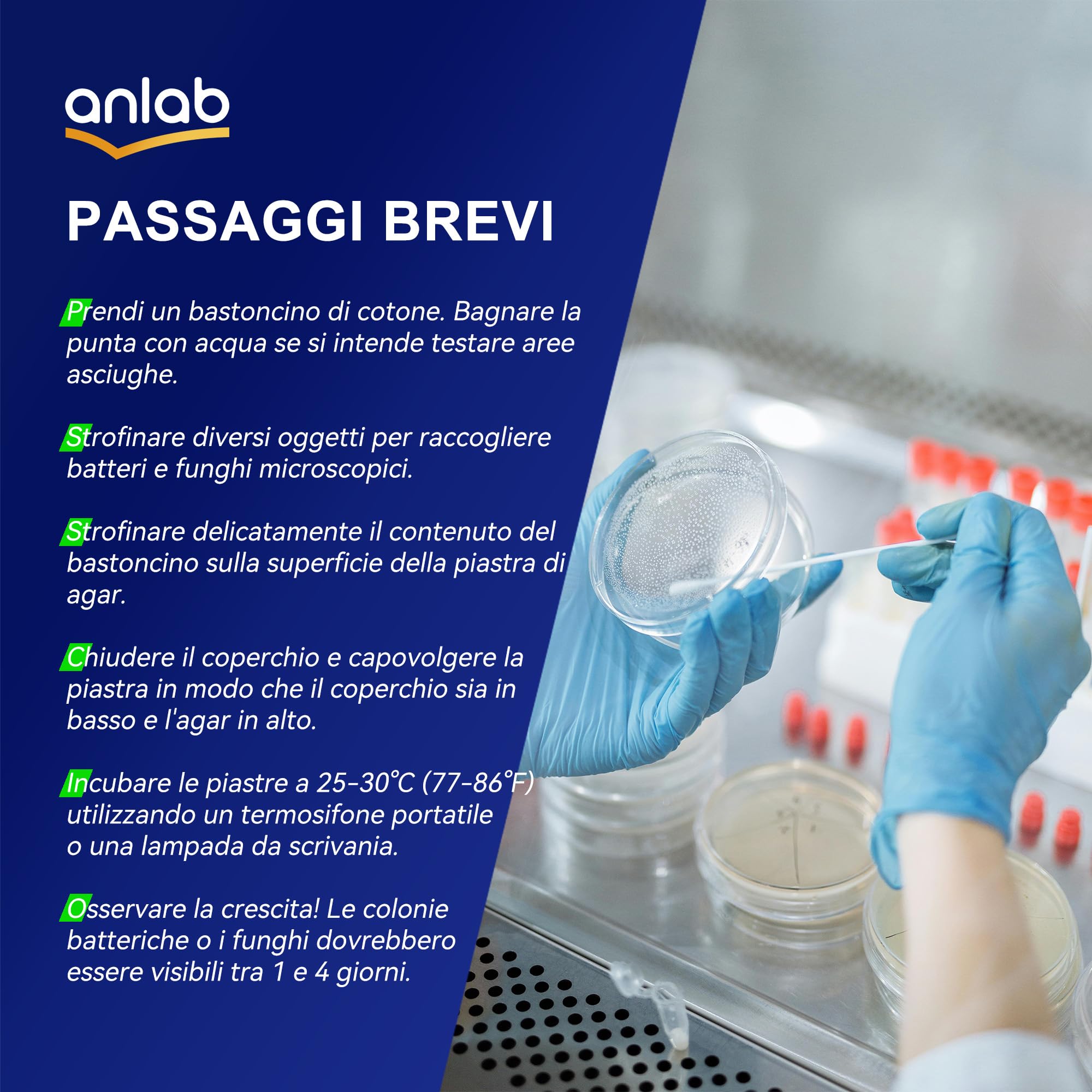 Nutrient Agar Petri Dishes Project Kit | Pre-Poured Agar Plates and Cotton Swabs for Experiments | Bacteria Kit - Sealed Separately (30)