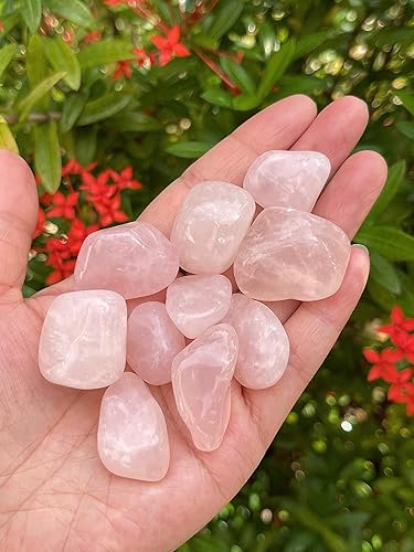 Miniatura 5 de GAF TREASURES Piedras pulidas de 12 libra, piedra preciosa pulida, piedras pulidas, cristales caídos, piedras para Wicca, Reiki, terapia, meditación