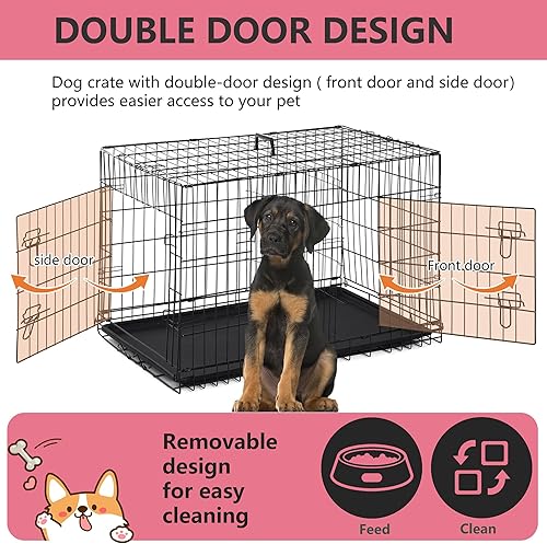 Miniatura 4 de FDW Jaula extragrande para perros con doble puerta, jaula plegable de alambre de metal de 48 pulgadas con bandeja extraíble y panel divisor, jaula