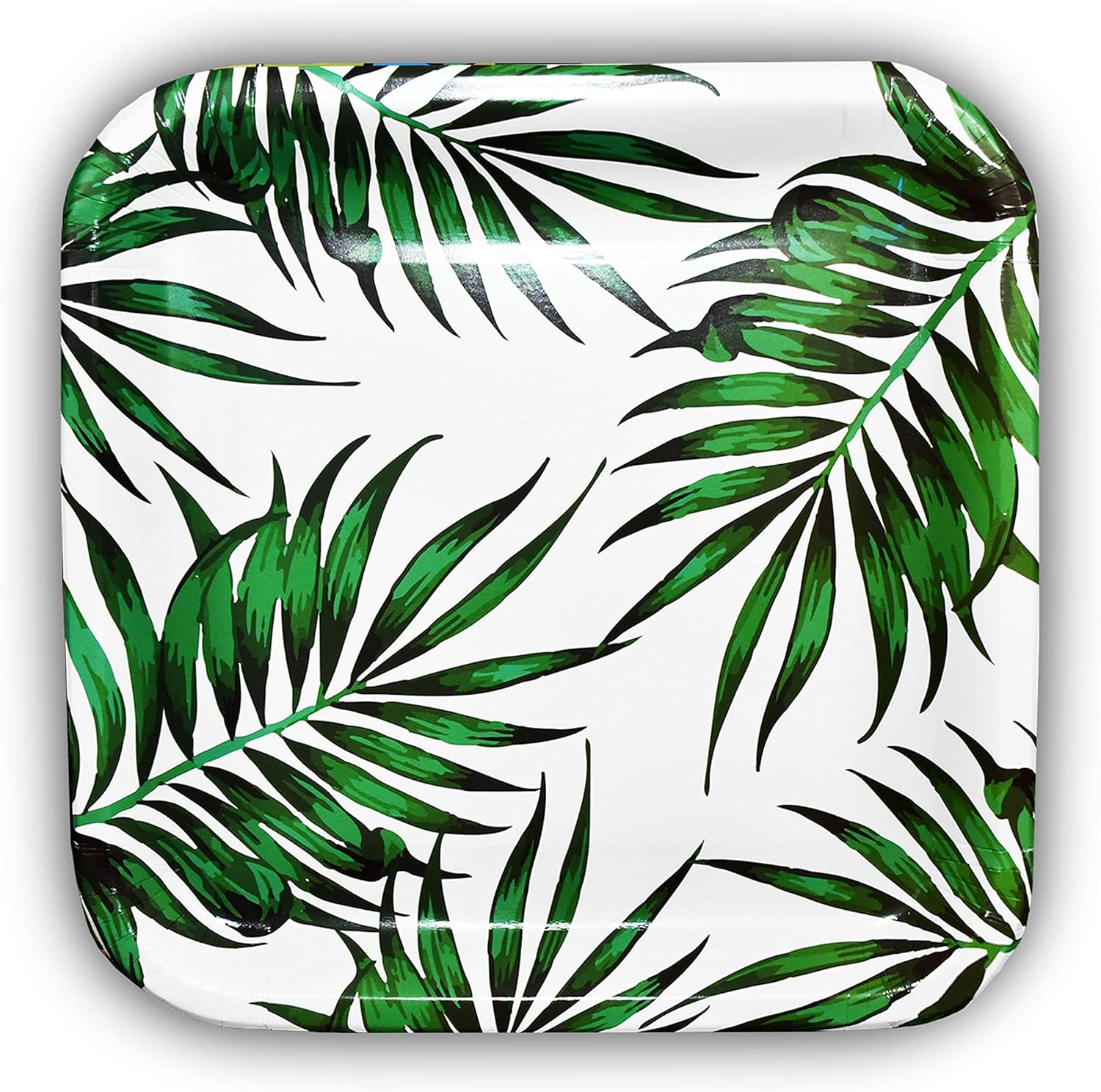SOLAS Paper Palm Leaf Plates Fully Compostable Jungle