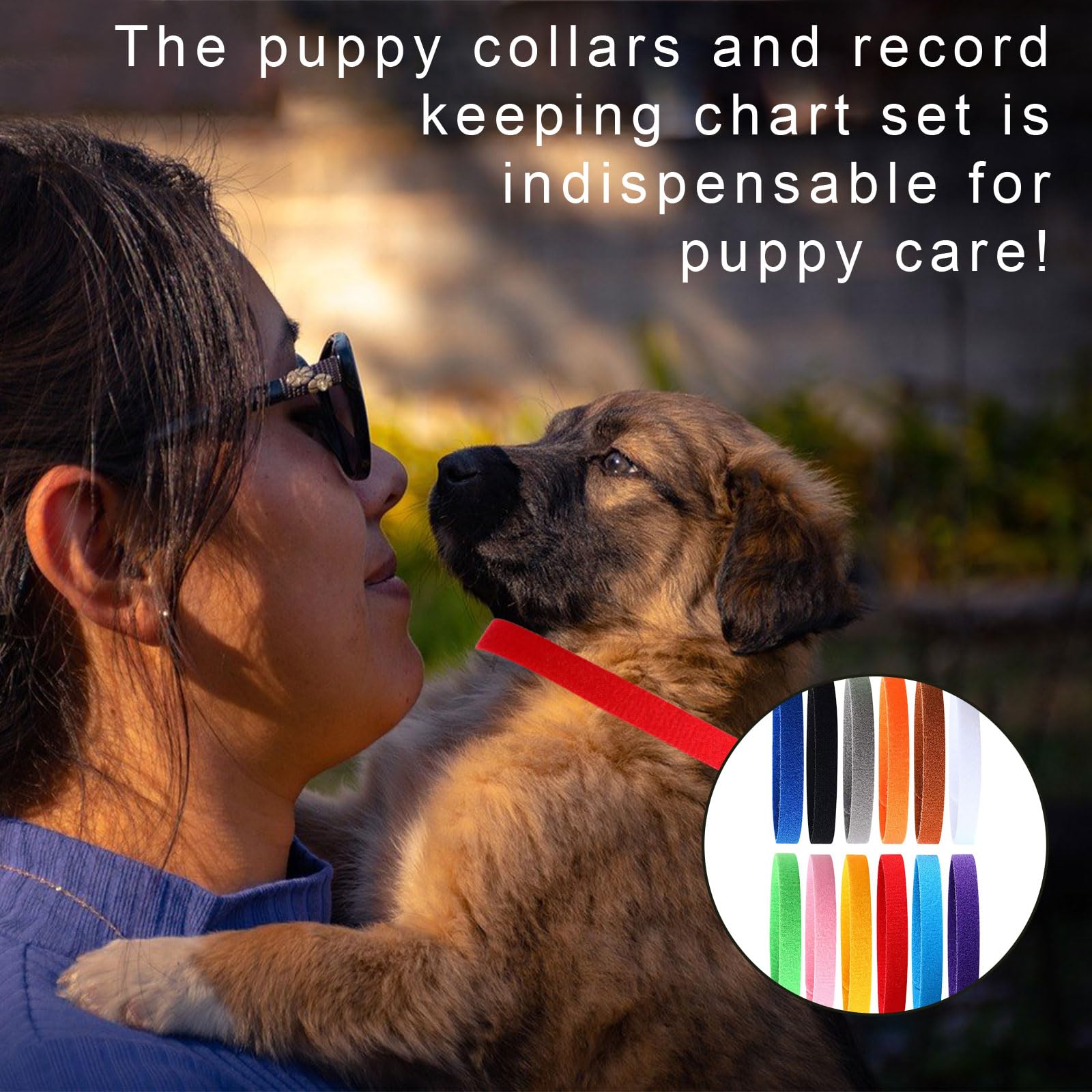 Colliers d'identification pour chiots réglables - Lot de 12 couleurs