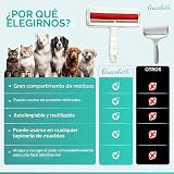 Ver la foto 3
